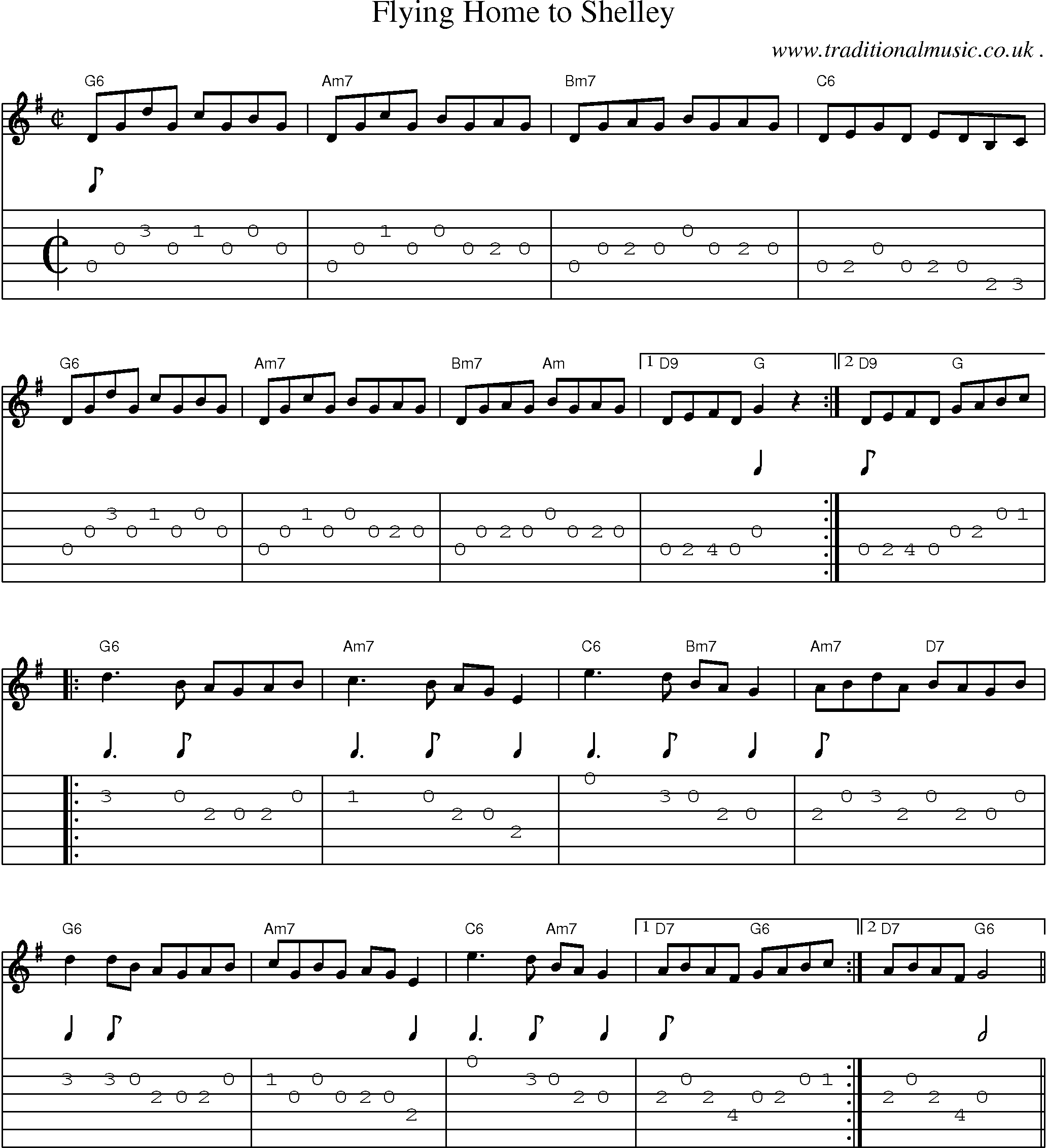 Music Score and Guitar Tabs for Flying Home To Shelley