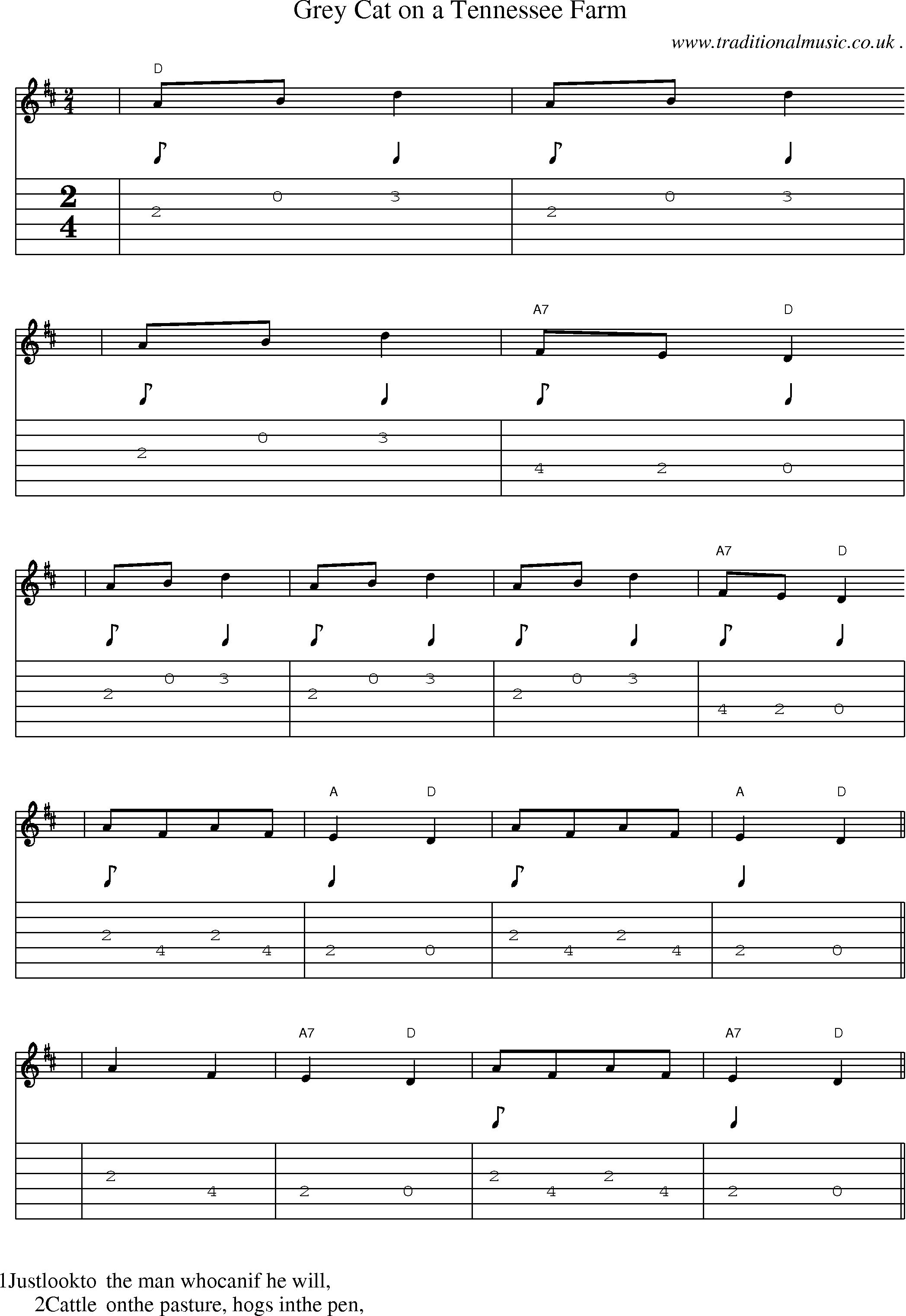 Music Score and Guitar Tabs for Grey Cat On A Tennessee Farm