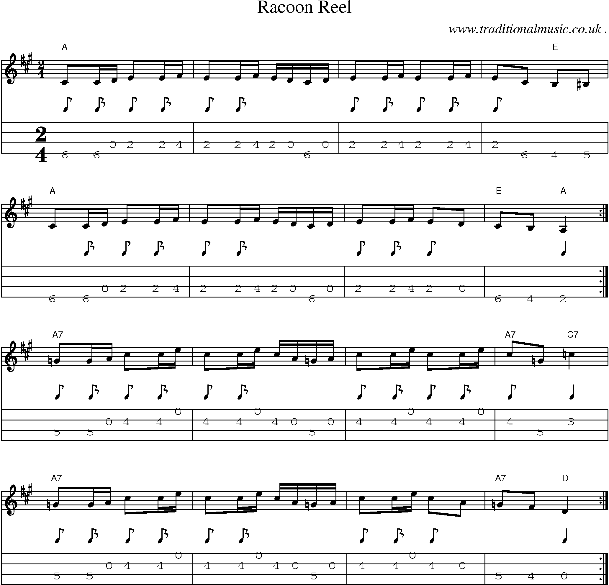Music Score and Mandolin Tabs for Racoon Reel