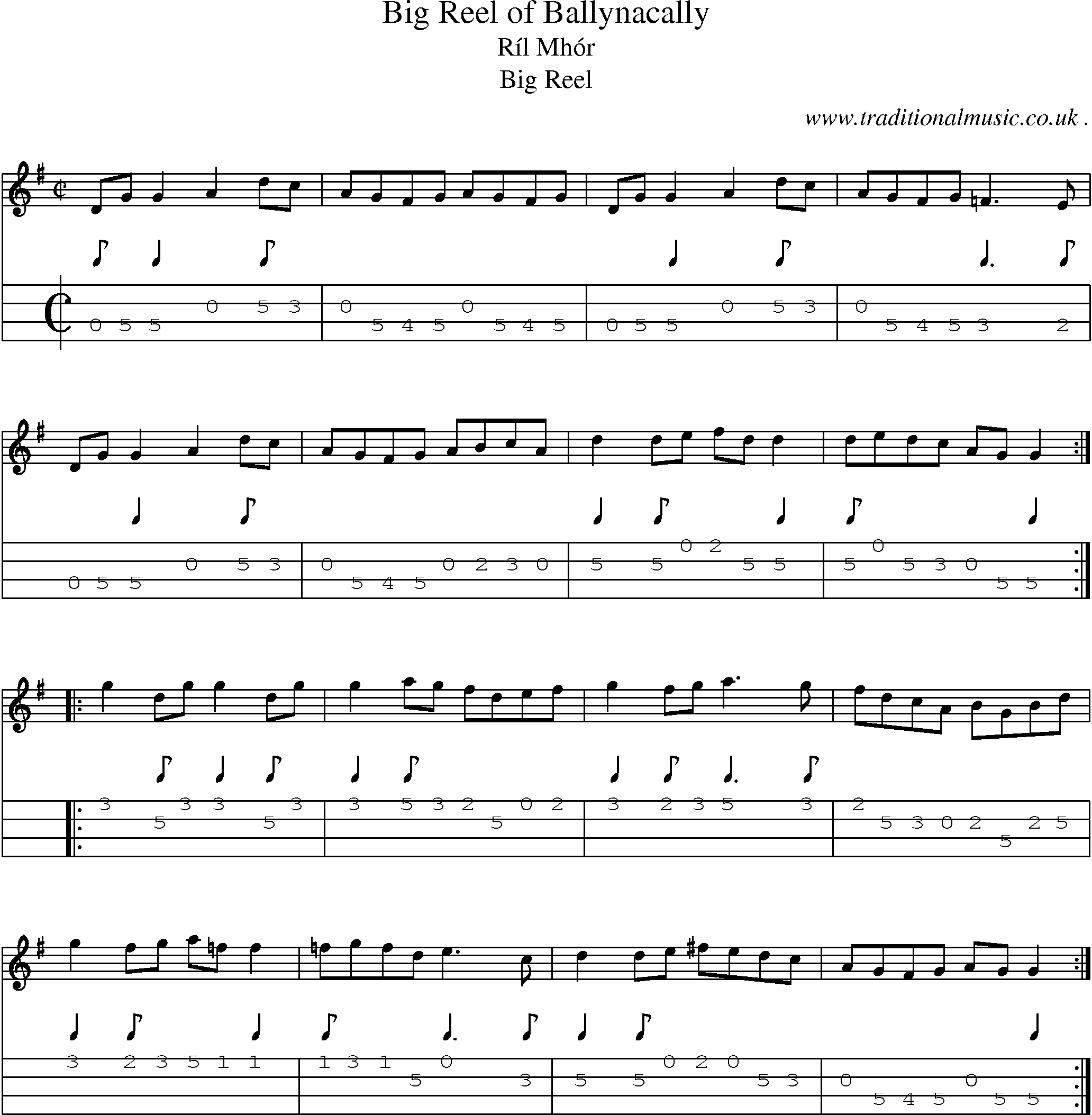 Sheet-Music and Mandolin Tabs for Big Reel Of Ballynacally