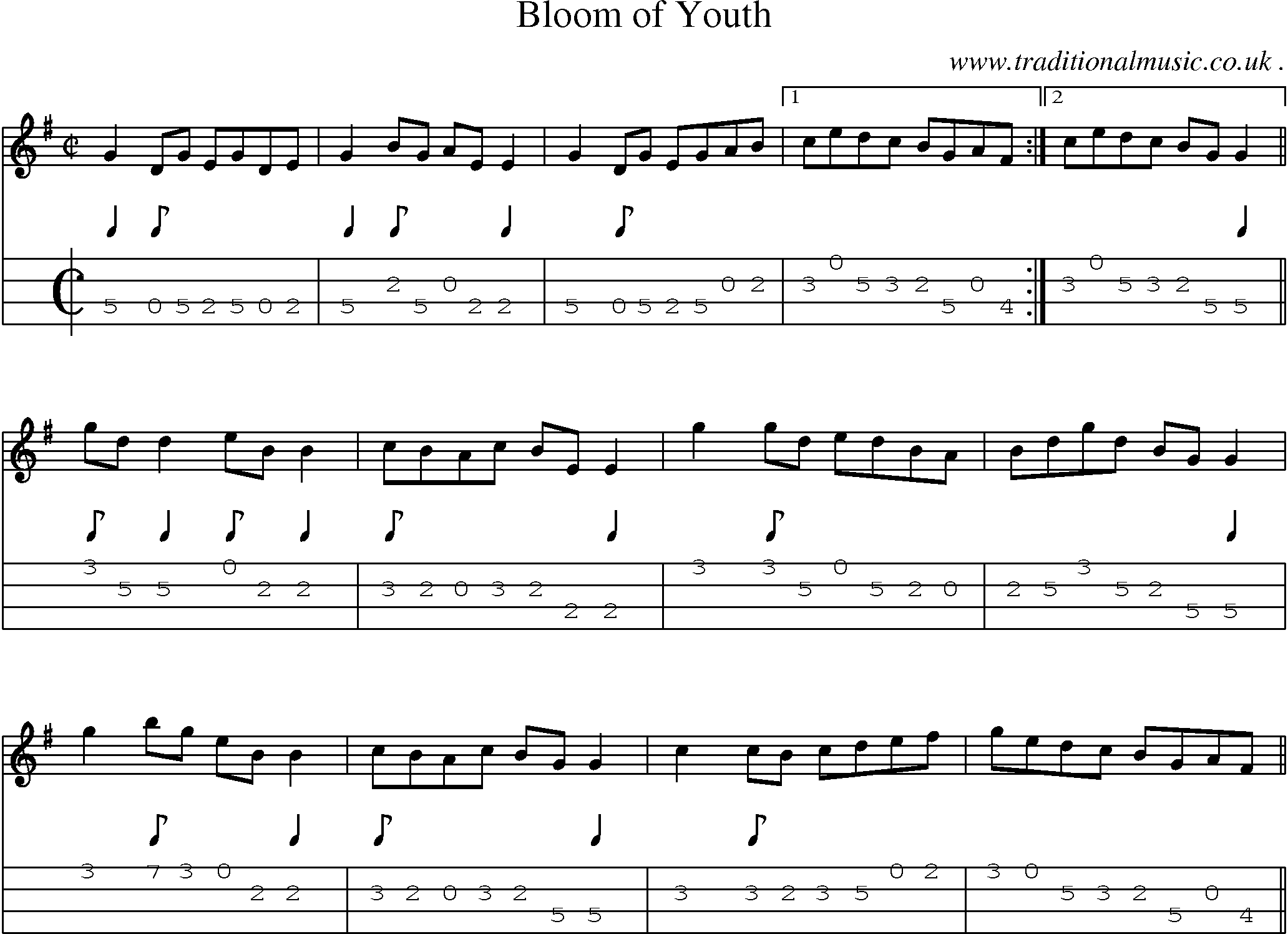 Sheet-Music and Mandolin Tabs for Bloom Of Youth