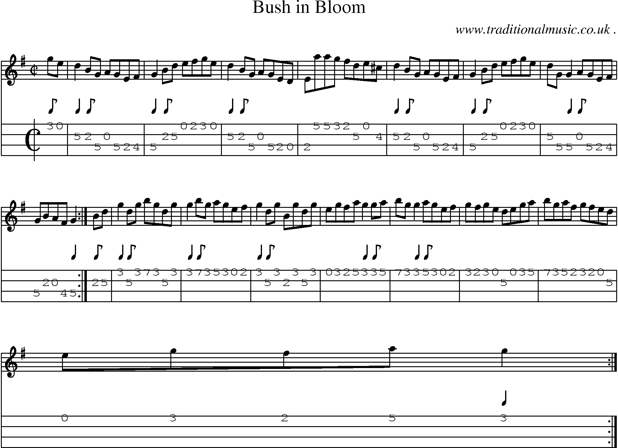Sheet-Music and Mandolin Tabs for Bush In Bloom
