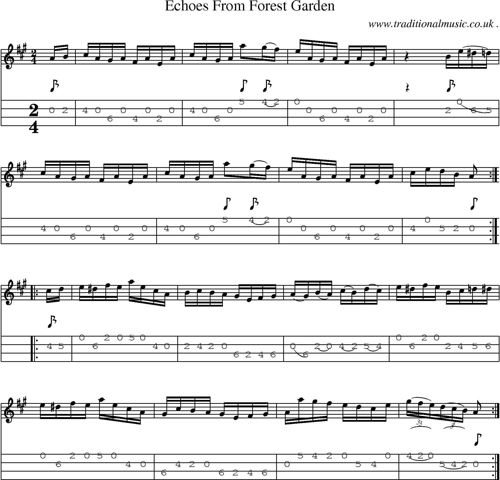 Sheet-Music and Mandolin Tabs for Echoes From Forest Garden