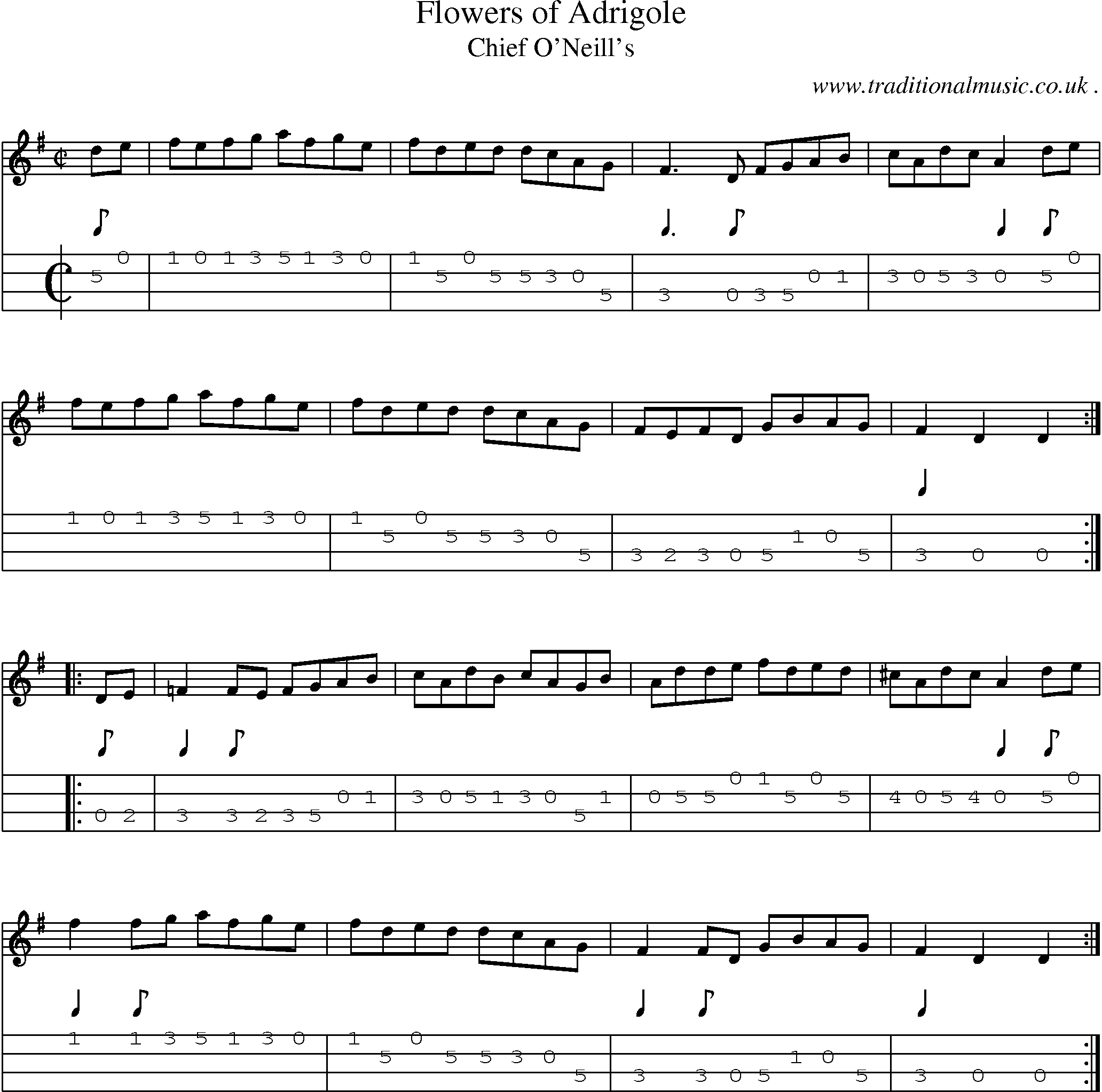 Sheet-Music and Mandolin Tabs for Flowers Of Adrigole