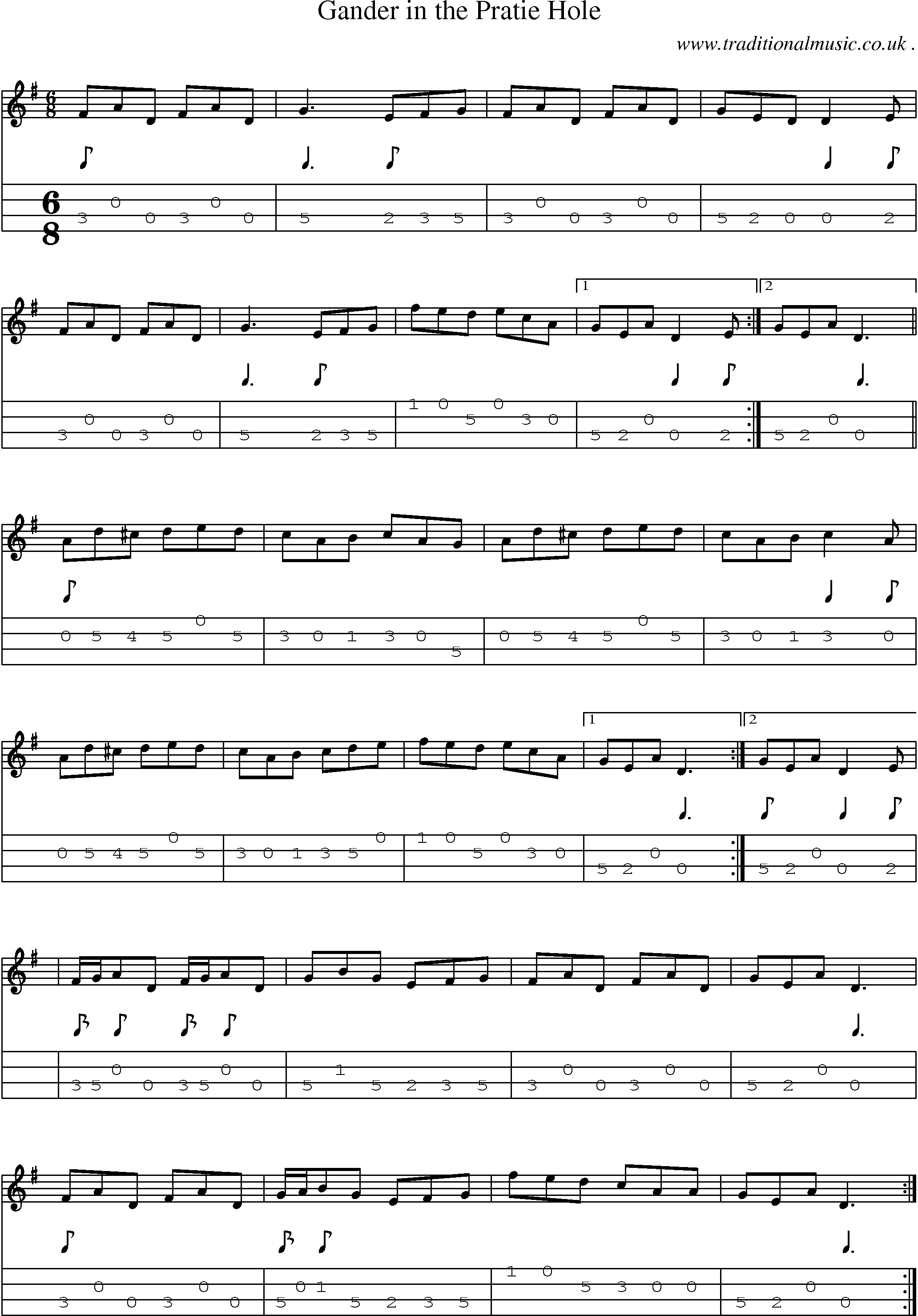 Sheet-Music and Mandolin Tabs for Gander In The Pratie Hole