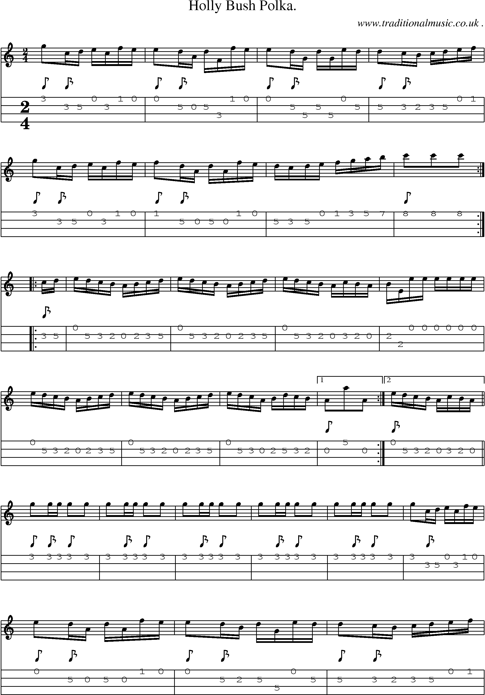 Sheet-Music and Mandolin Tabs for Holly Bush Polka