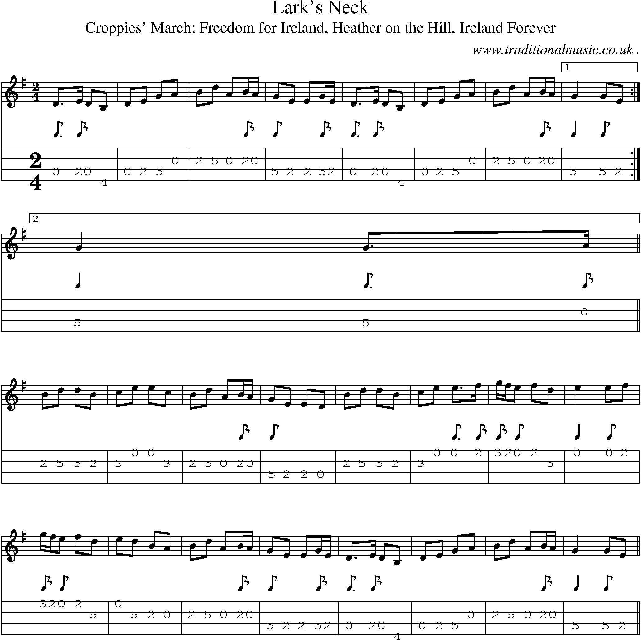 Sheet-Music and Mandolin Tabs for Larks Neck