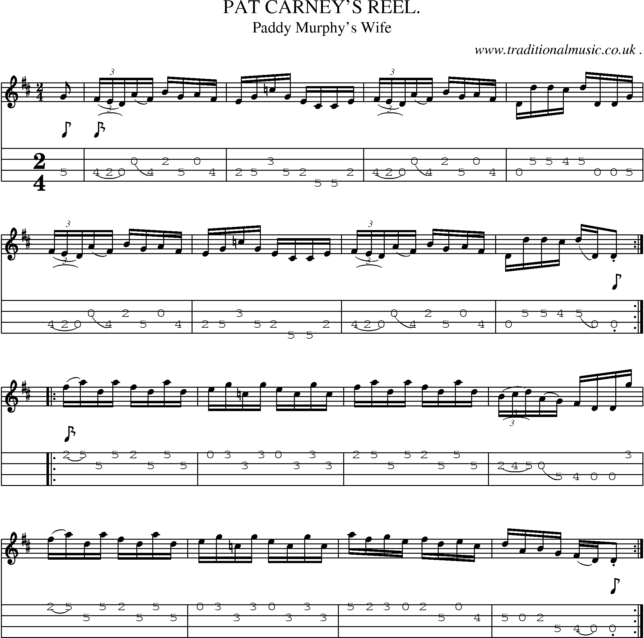 Sheet-Music and Mandolin Tabs for Pat Carneys Reel