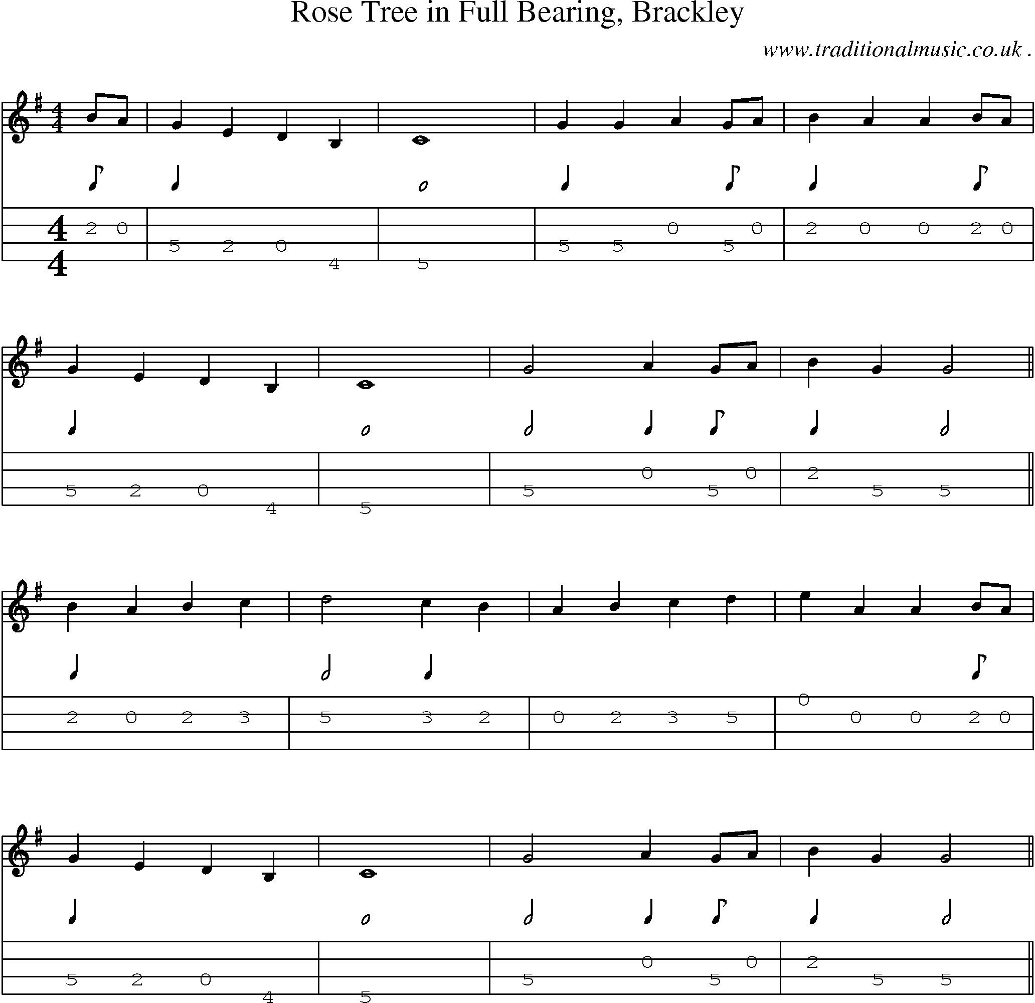 Sheet-Music and Mandolin Tabs for Rose Tree In Full Bearing Brackley