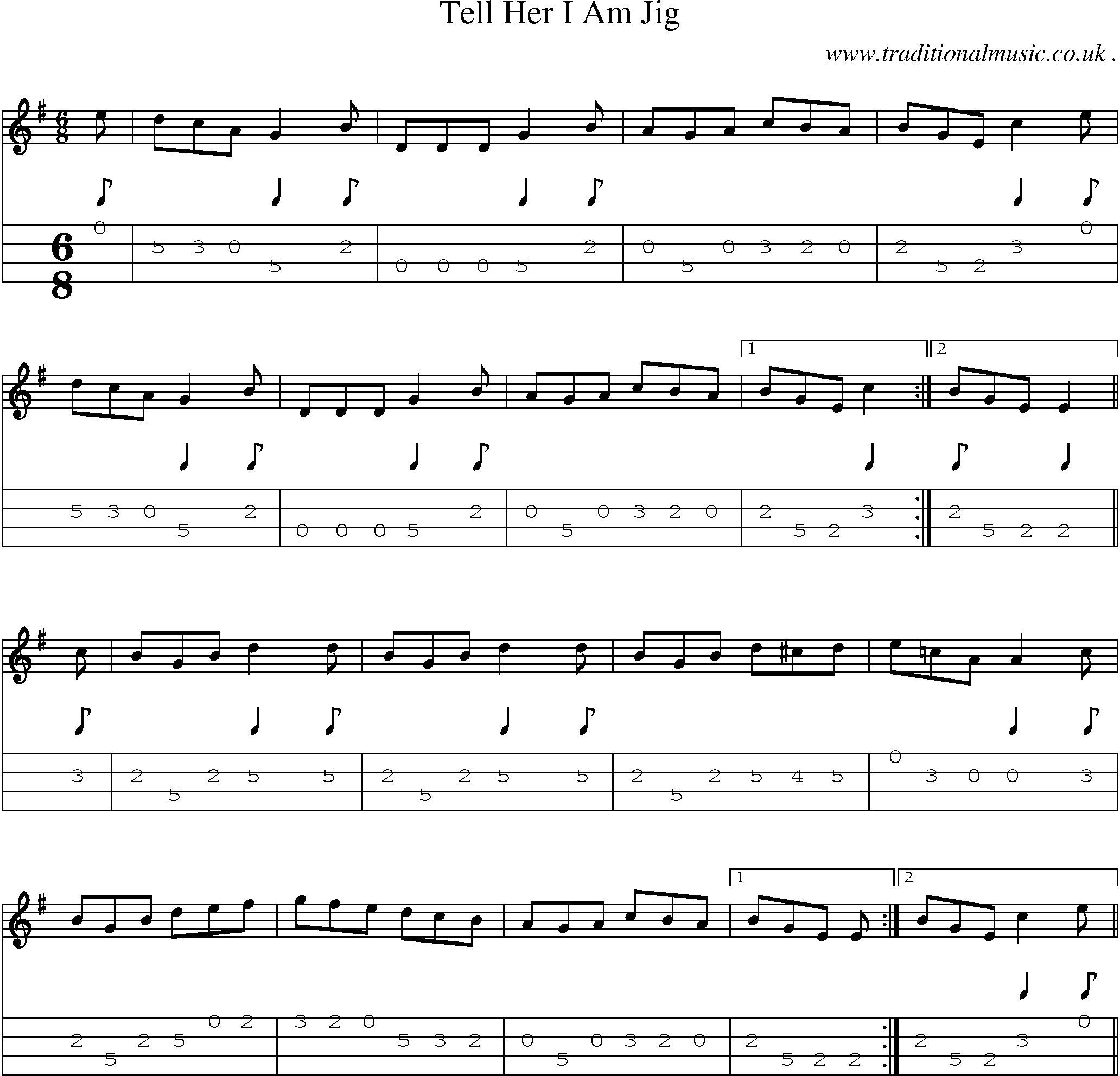 Sheet-Music and Mandolin Tabs for Tell Her I Am Jig