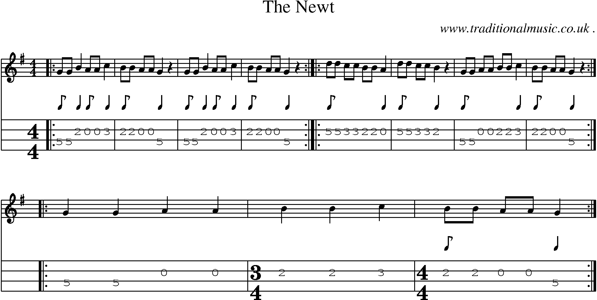 Sheet-Music and Mandolin Tabs for The Newt