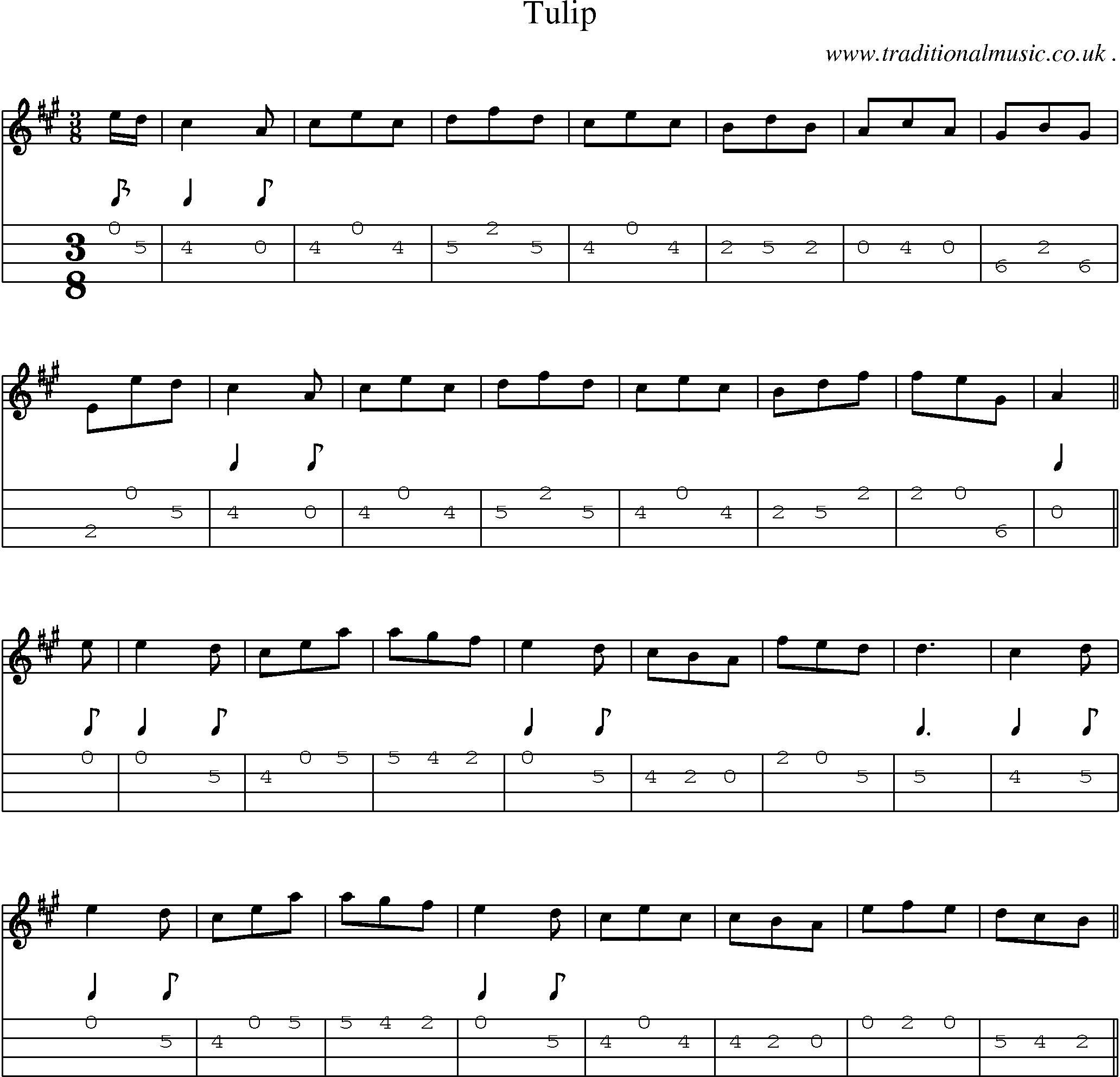 Sheet-Music and Mandolin Tabs for Tulip