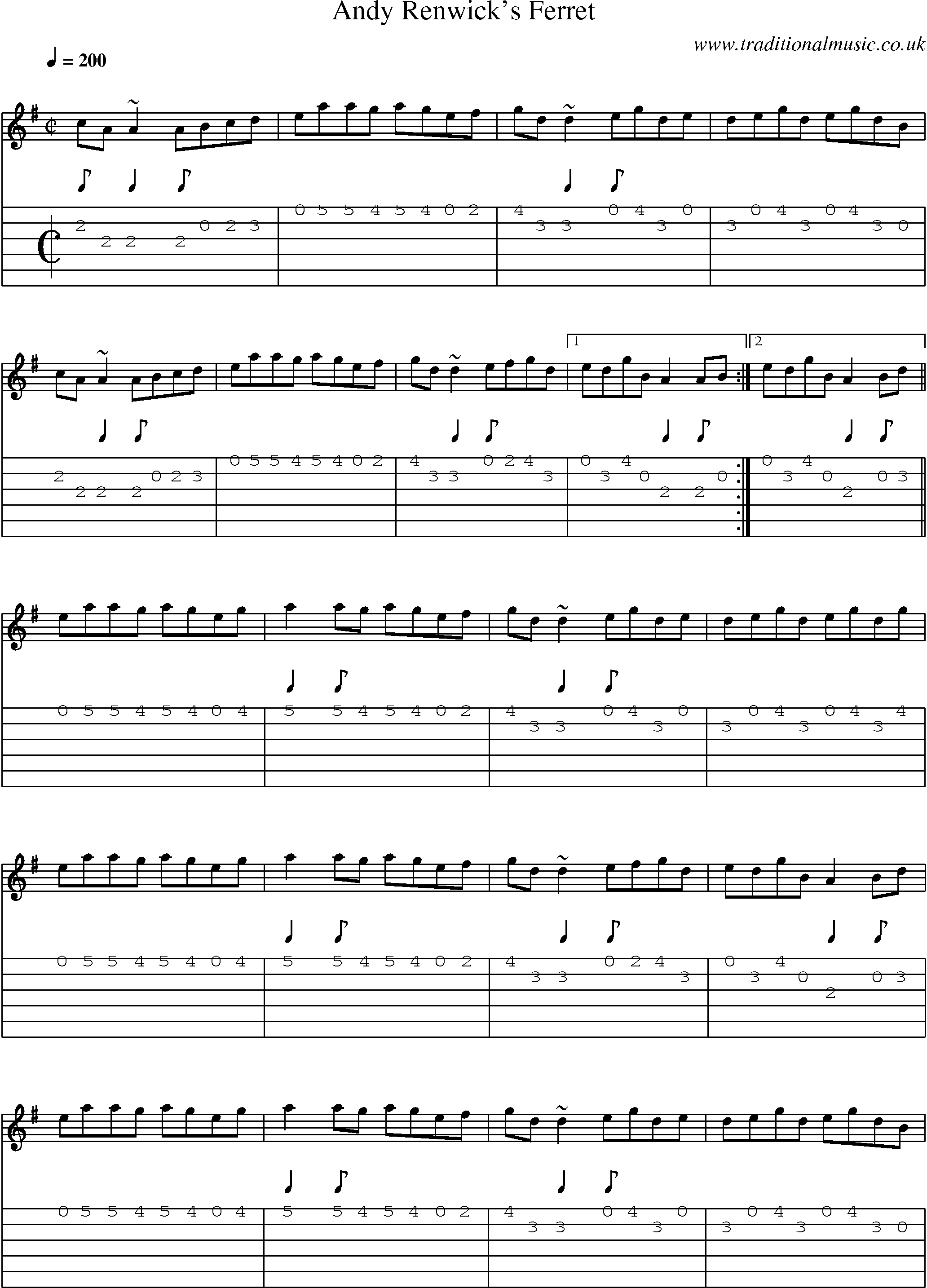 Music Score and Guitar Tabs for Andy Renwicks Ferret