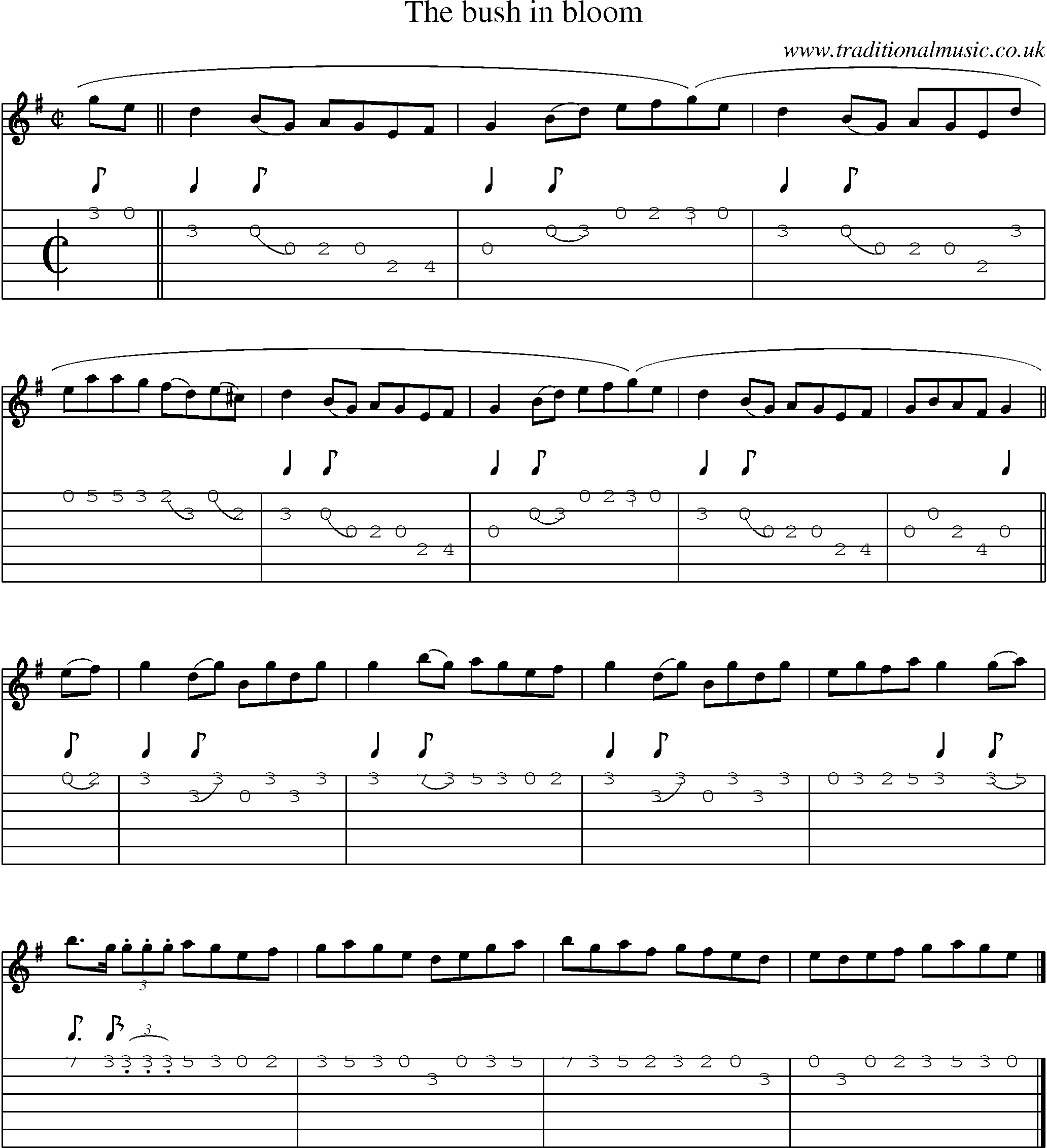 Music Score and Guitar Tabs for Bush In Bloom