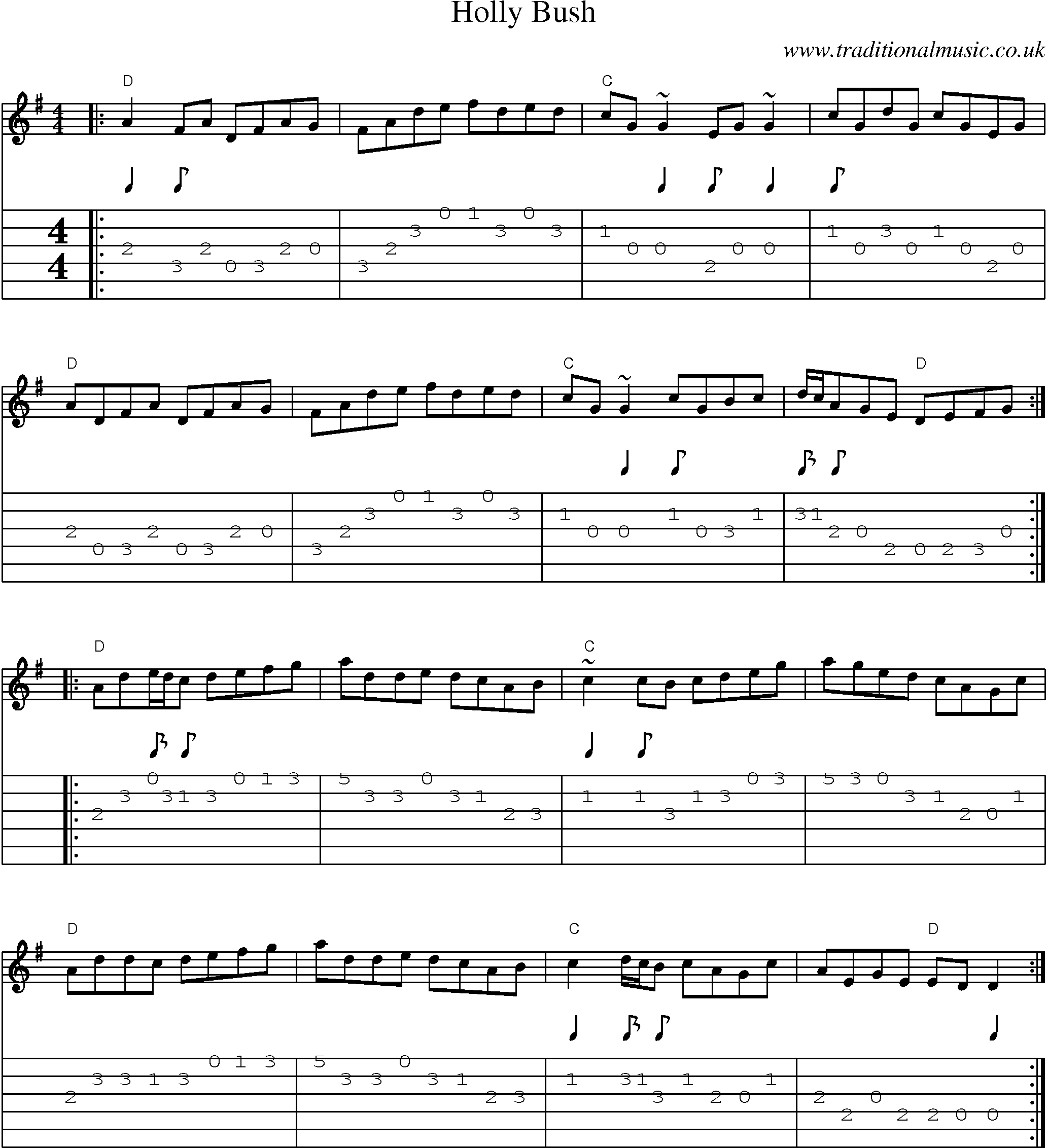 Music Score and Guitar Tabs for Holly Bush