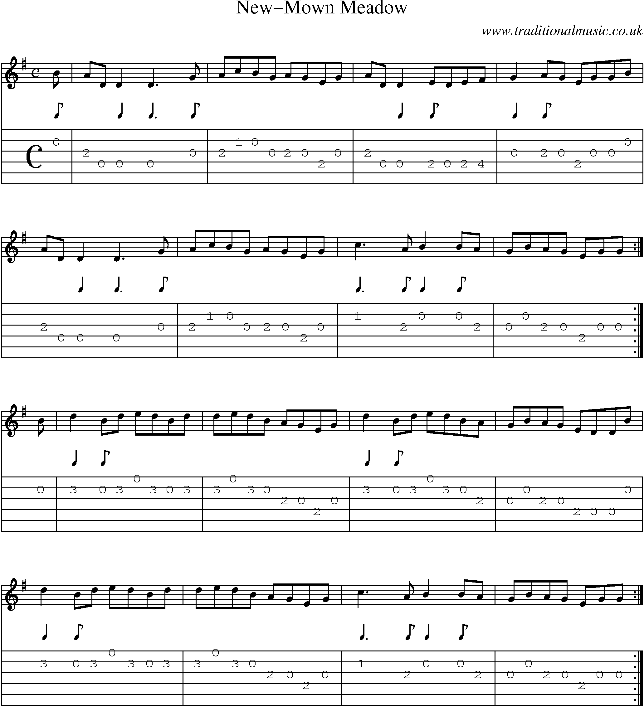 Music Score and Guitar Tabs for Newmown Meadow