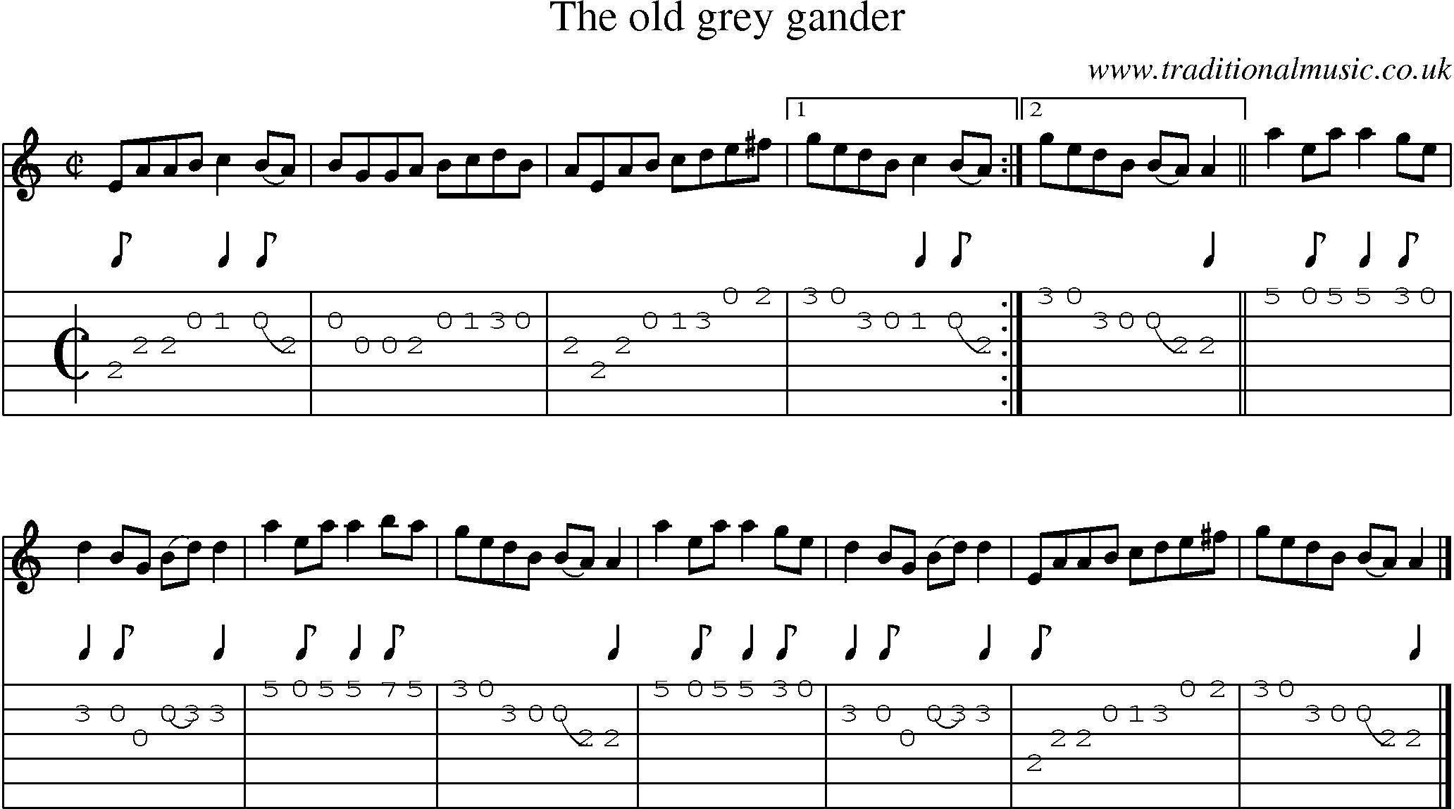 Music Score and Guitar Tabs for Old Grey Gander