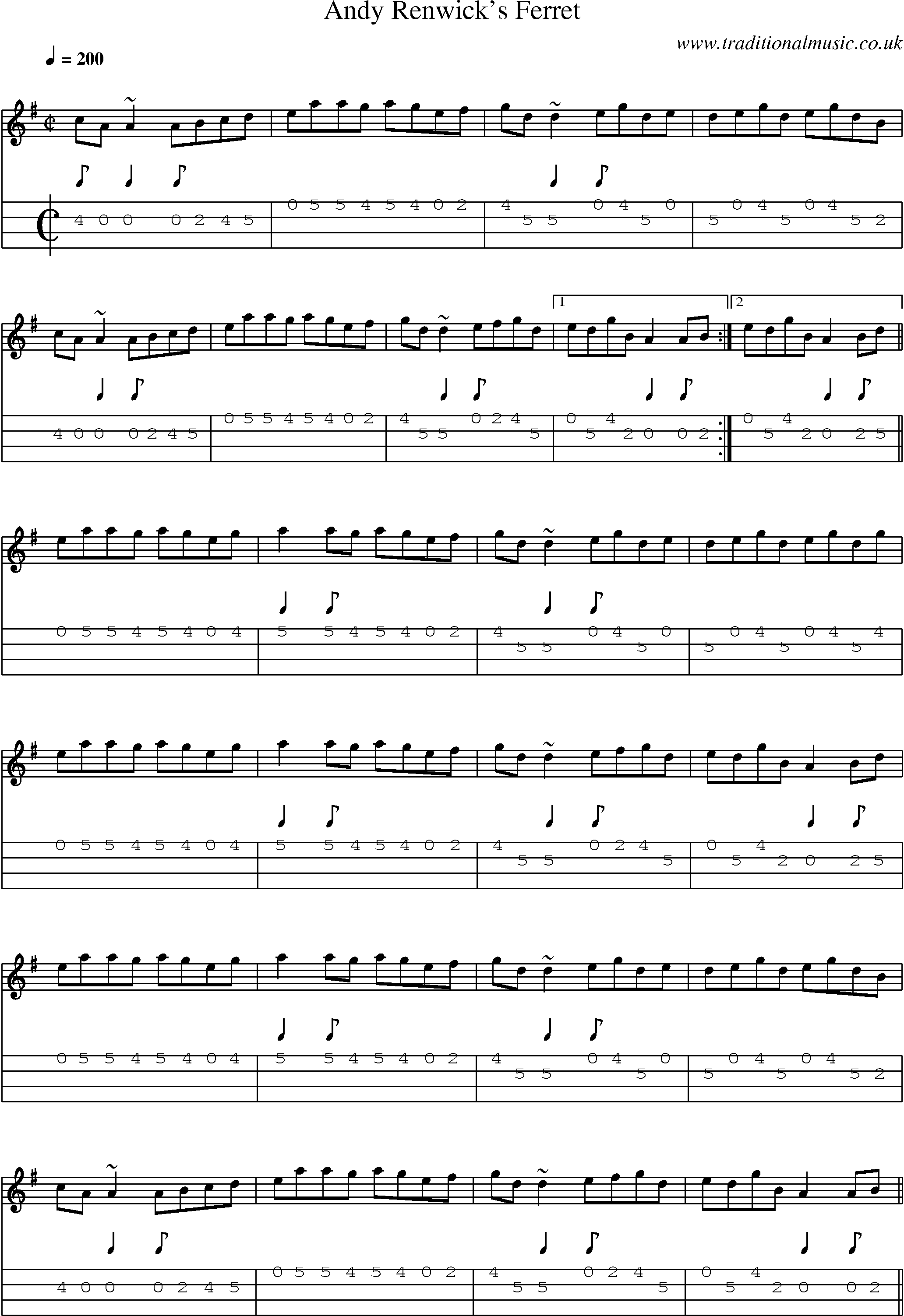 Music Score and Mandolin Tabs for Andy Renwicks Ferret