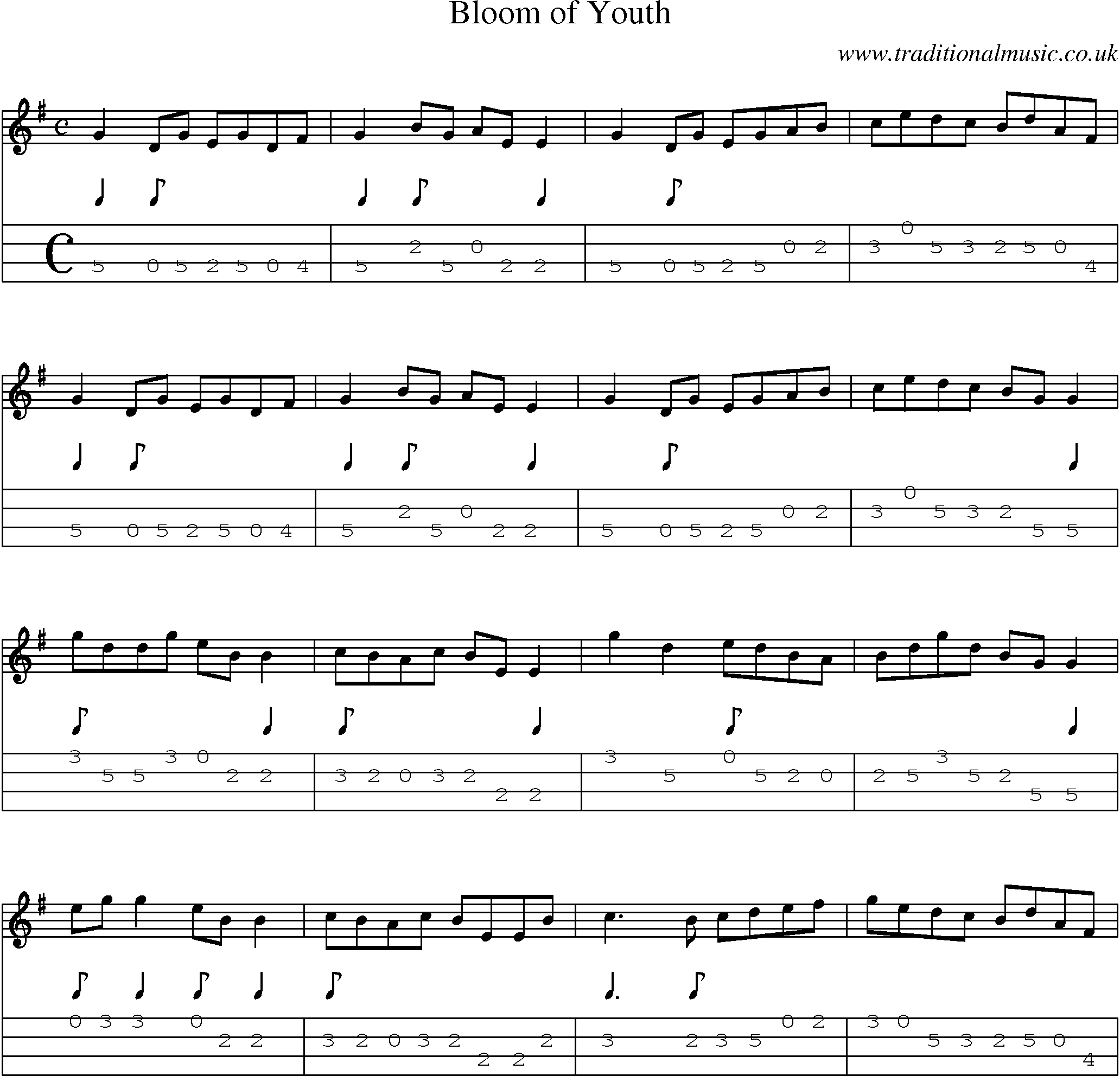 Music Score and Mandolin Tabs for Bloom Of Youth