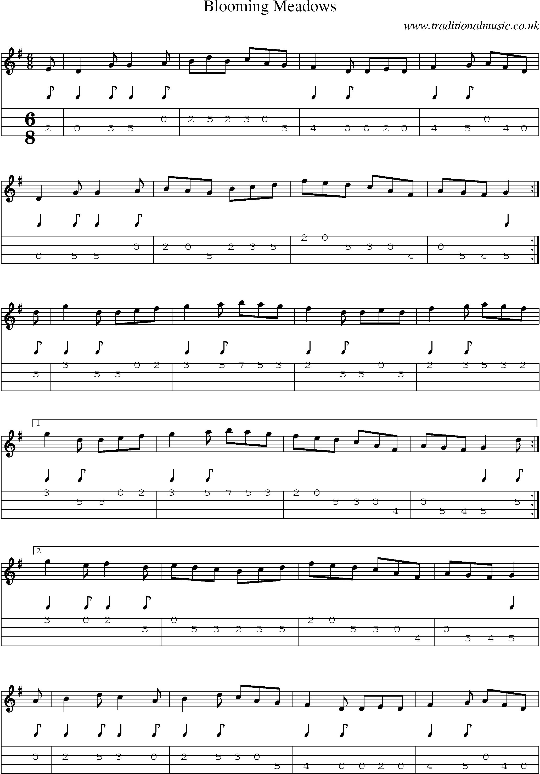 Music Score and Mandolin Tabs for Blooming Meadows