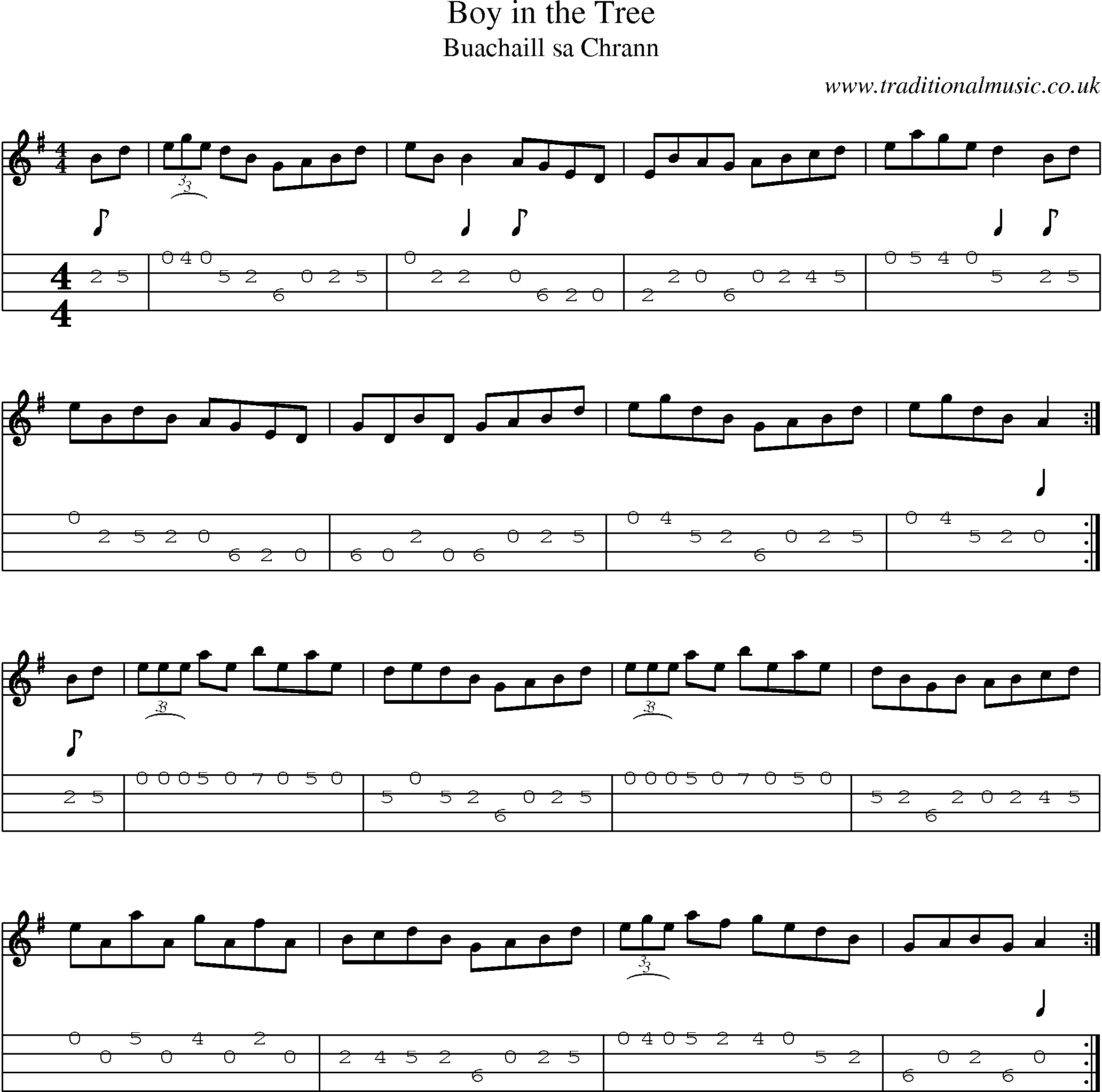 Music Score and Mandolin Tabs for Boy In Tree