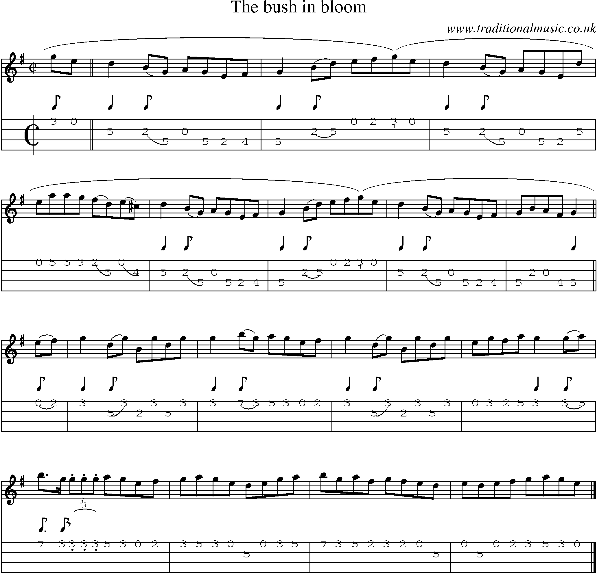 Music Score and Mandolin Tabs for Bush In Bloom