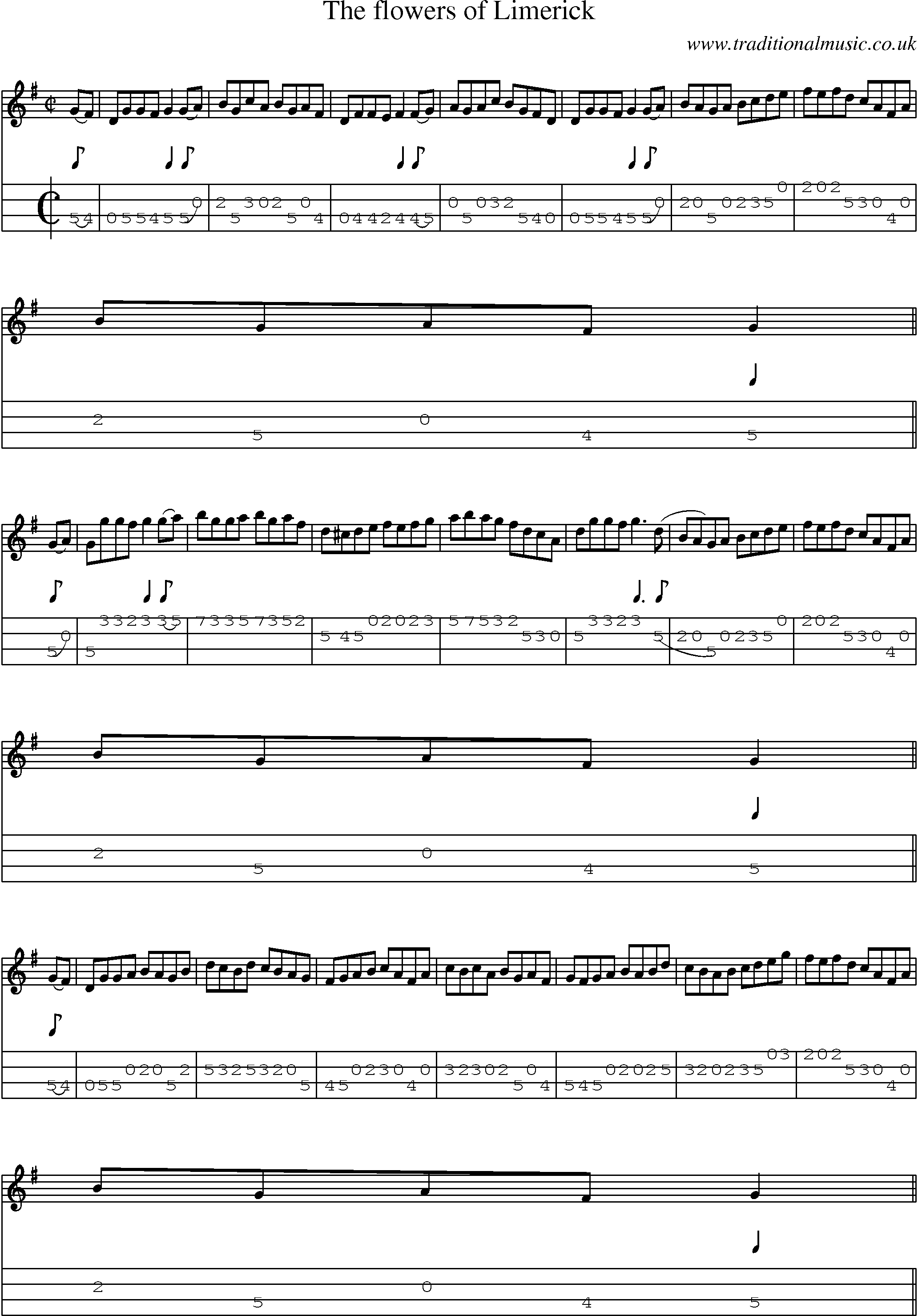 Music Score and Mandolin Tabs for Flowers Of Limerick