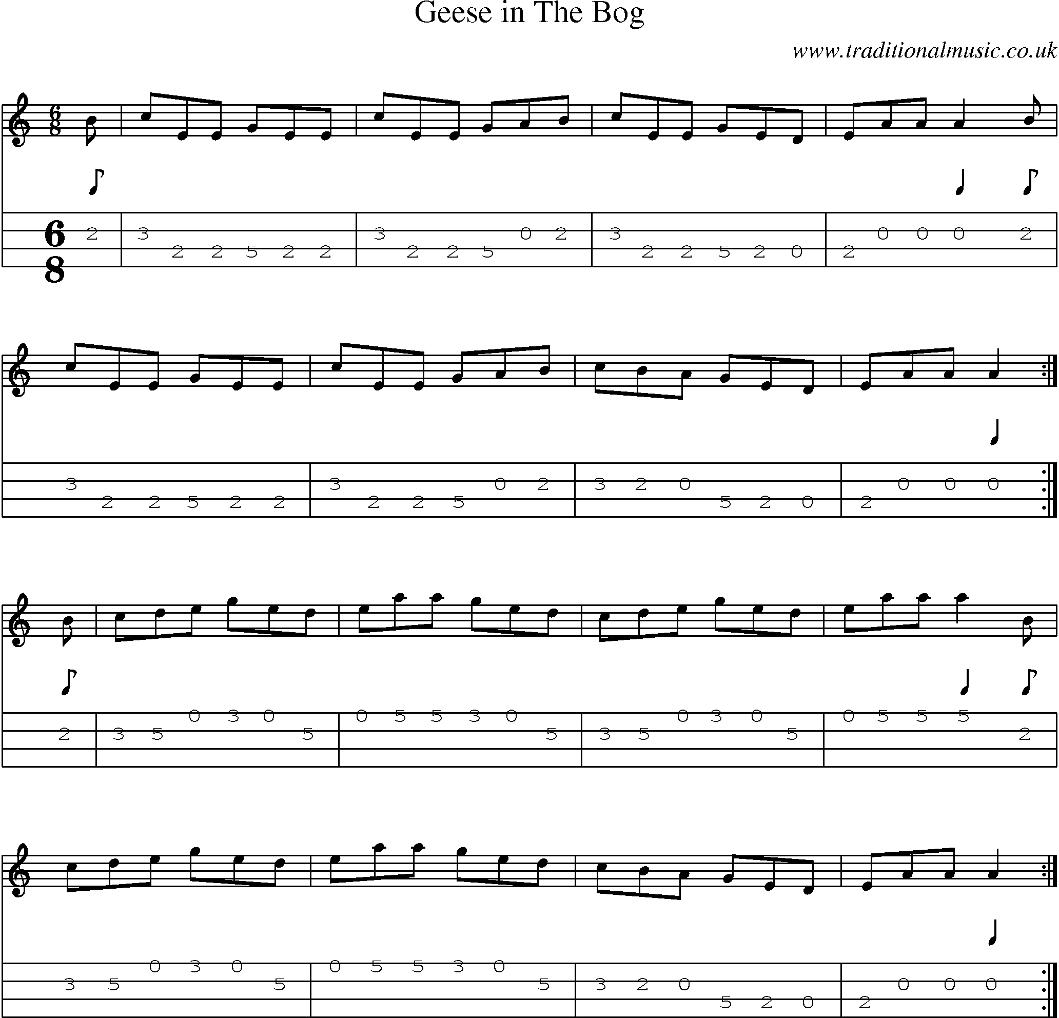 Music Score and Mandolin Tabs for Geese In Bog