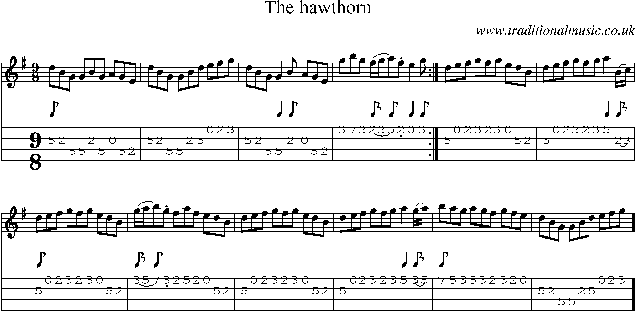 Music Score and Mandolin Tabs for Hawthorn