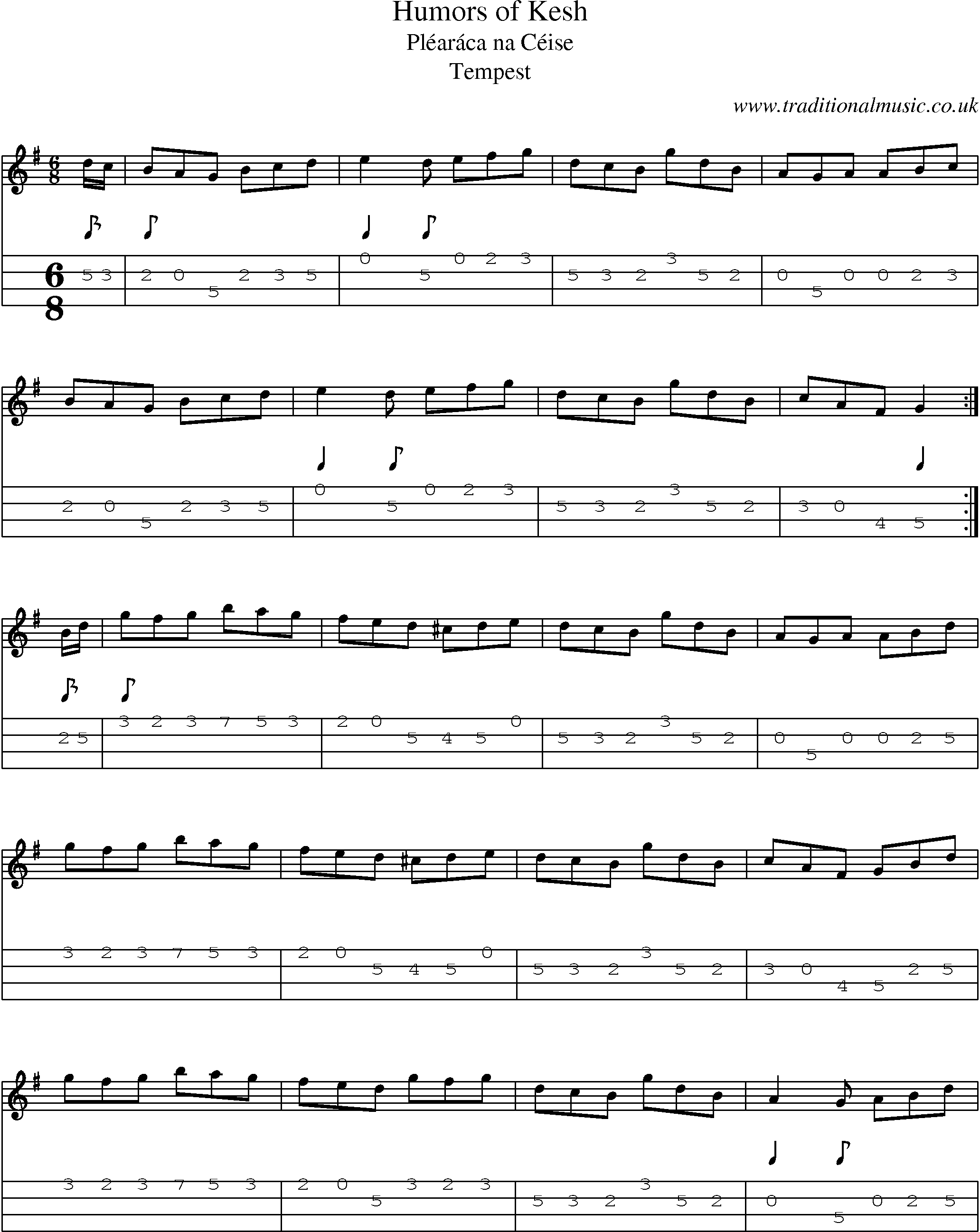 Music Score and Mandolin Tabs for Humors Of Kesh