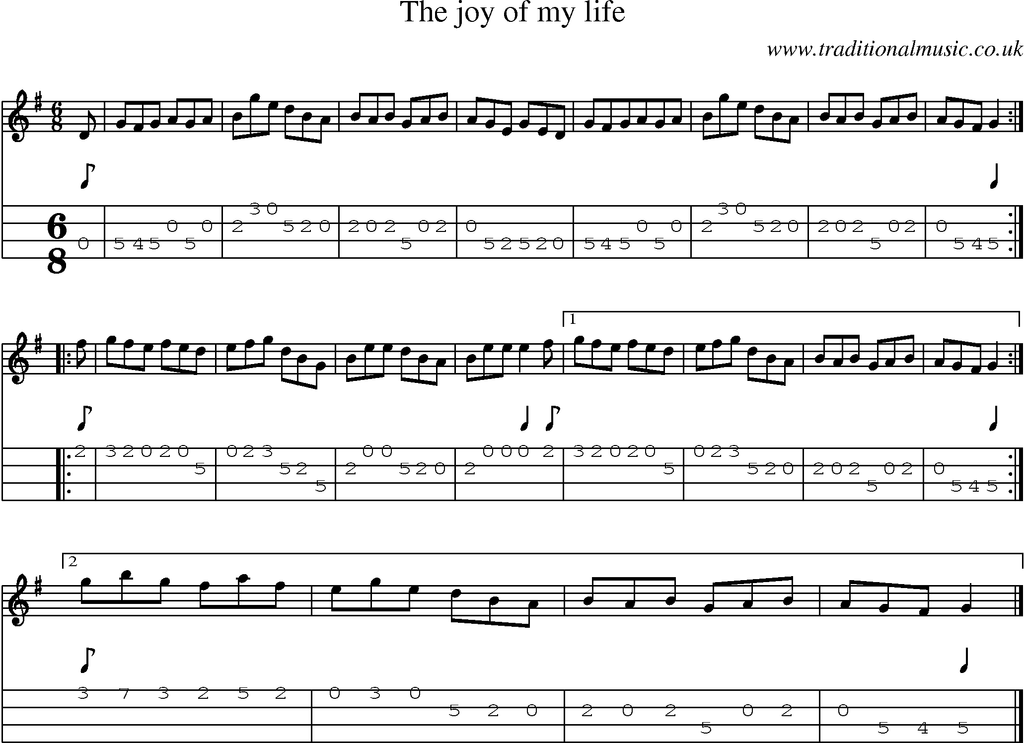 Music Score and Mandolin Tabs for Joy Of My Life