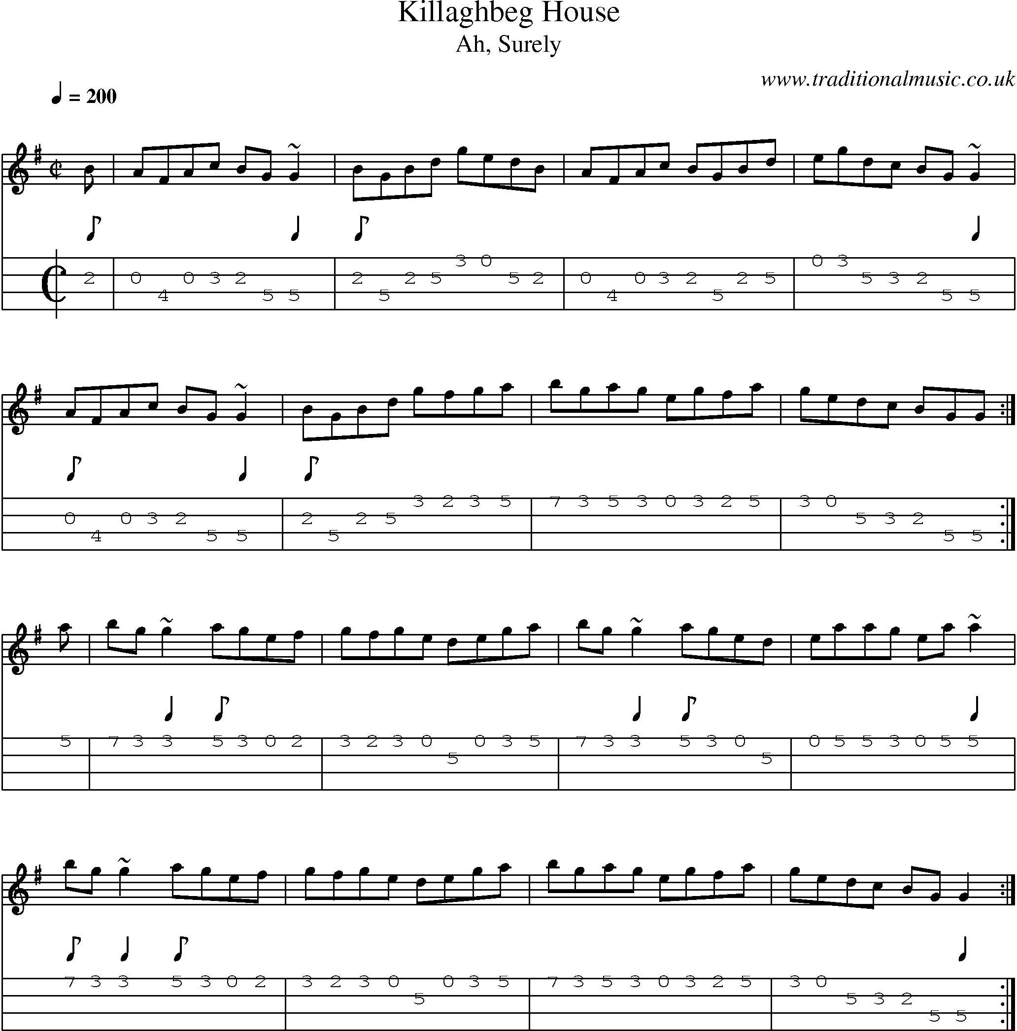 Music Score and Mandolin Tabs for Killaghbeg House