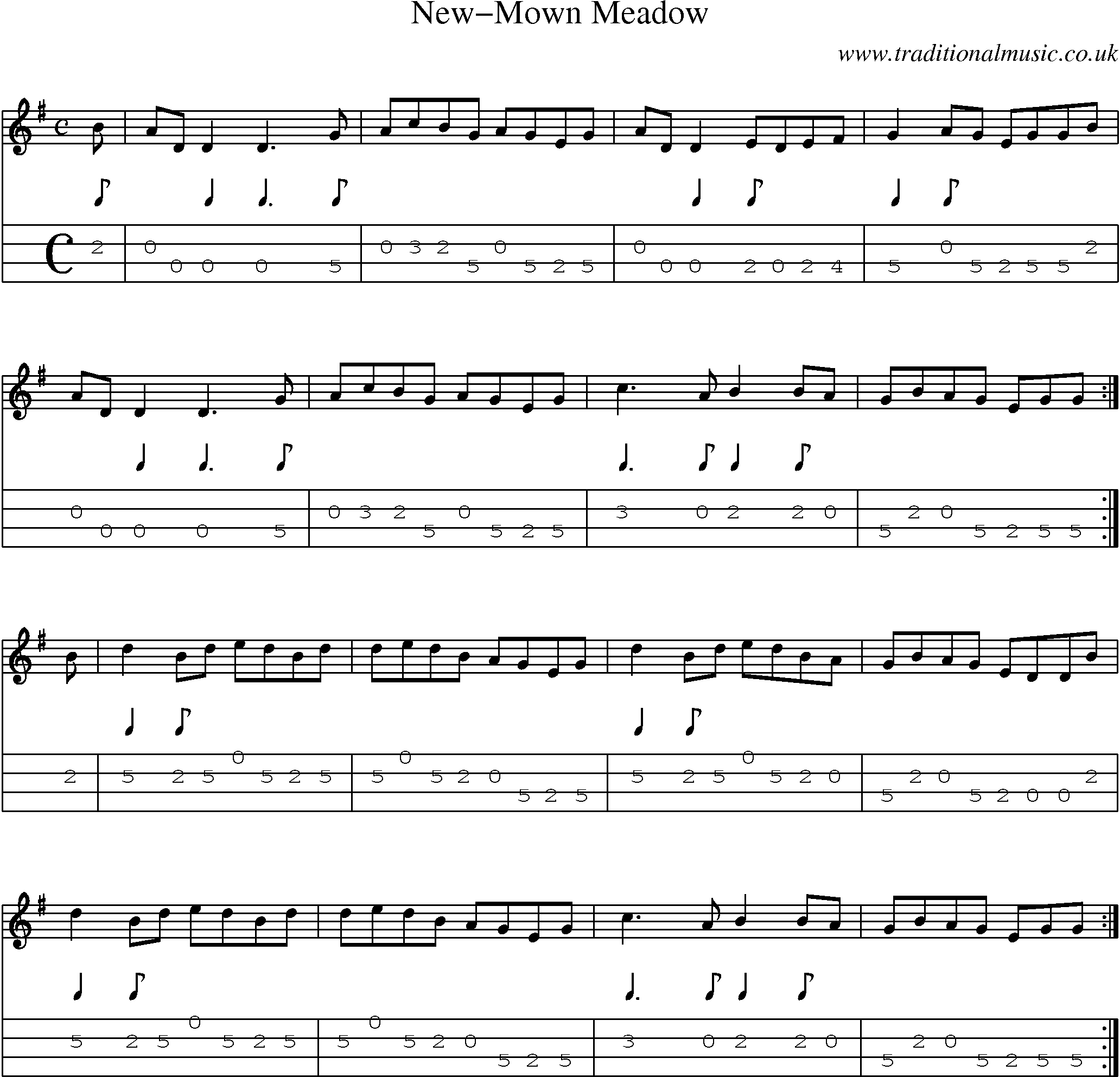 Music Score and Mandolin Tabs for Newmown Meadow