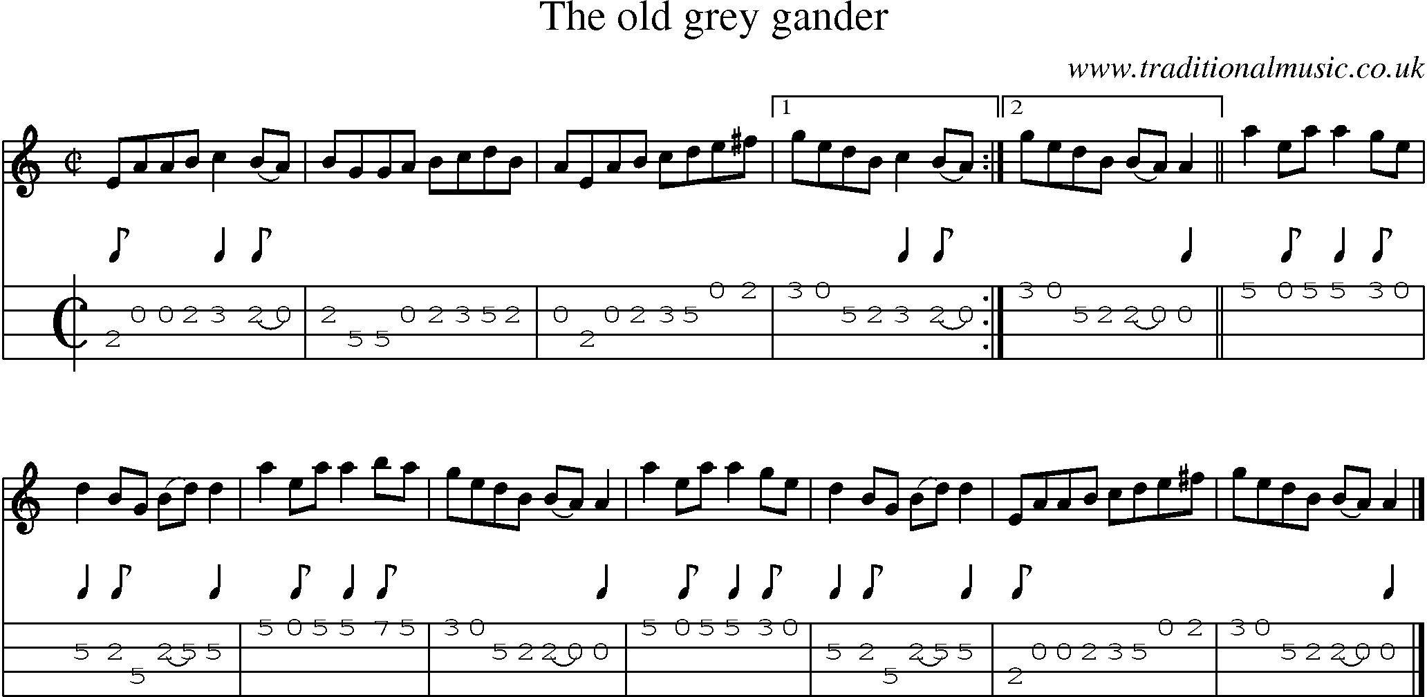 Music Score and Mandolin Tabs for Old Grey Gander