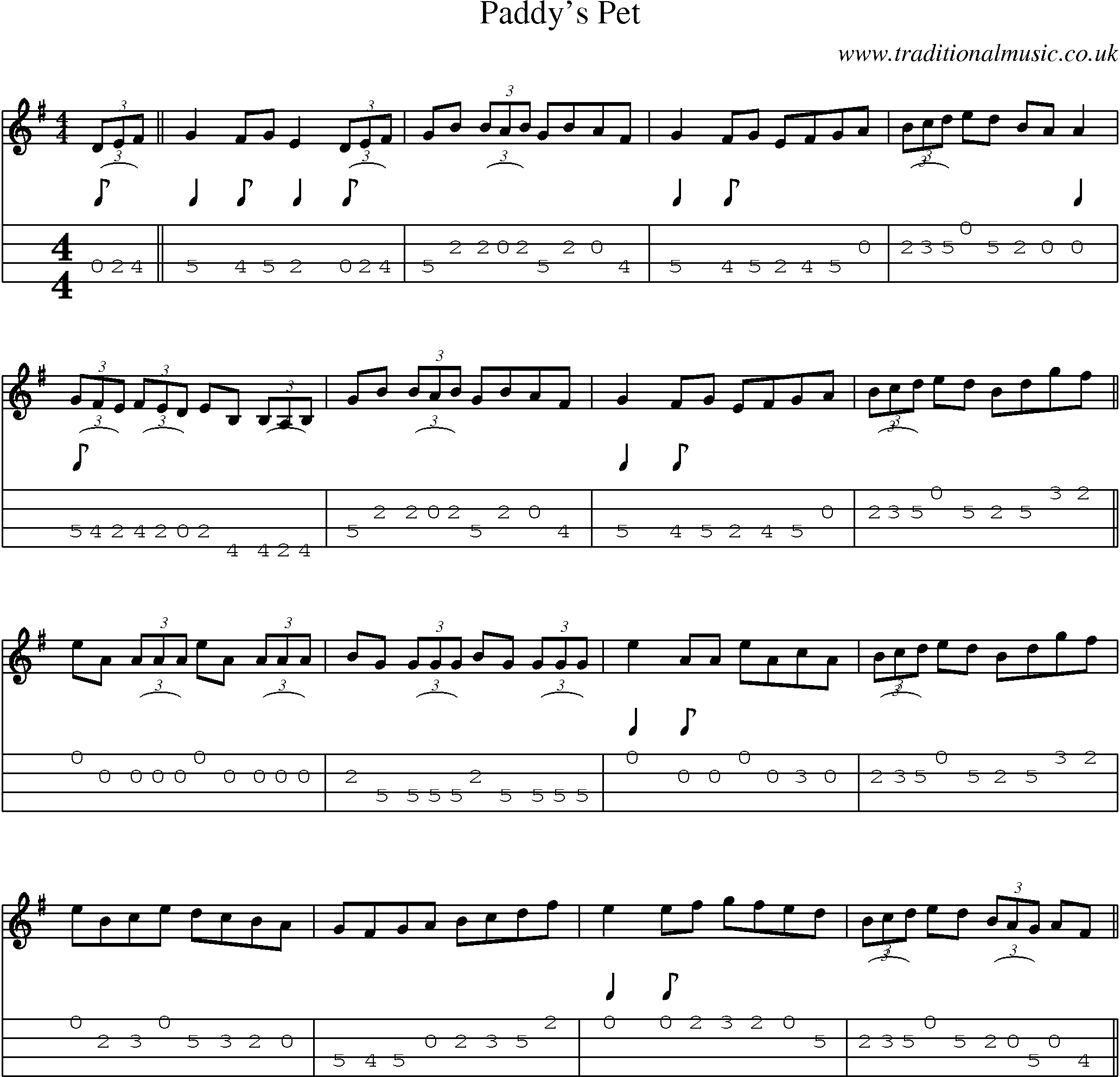 Music Score and Mandolin Tabs for Paddys Pet