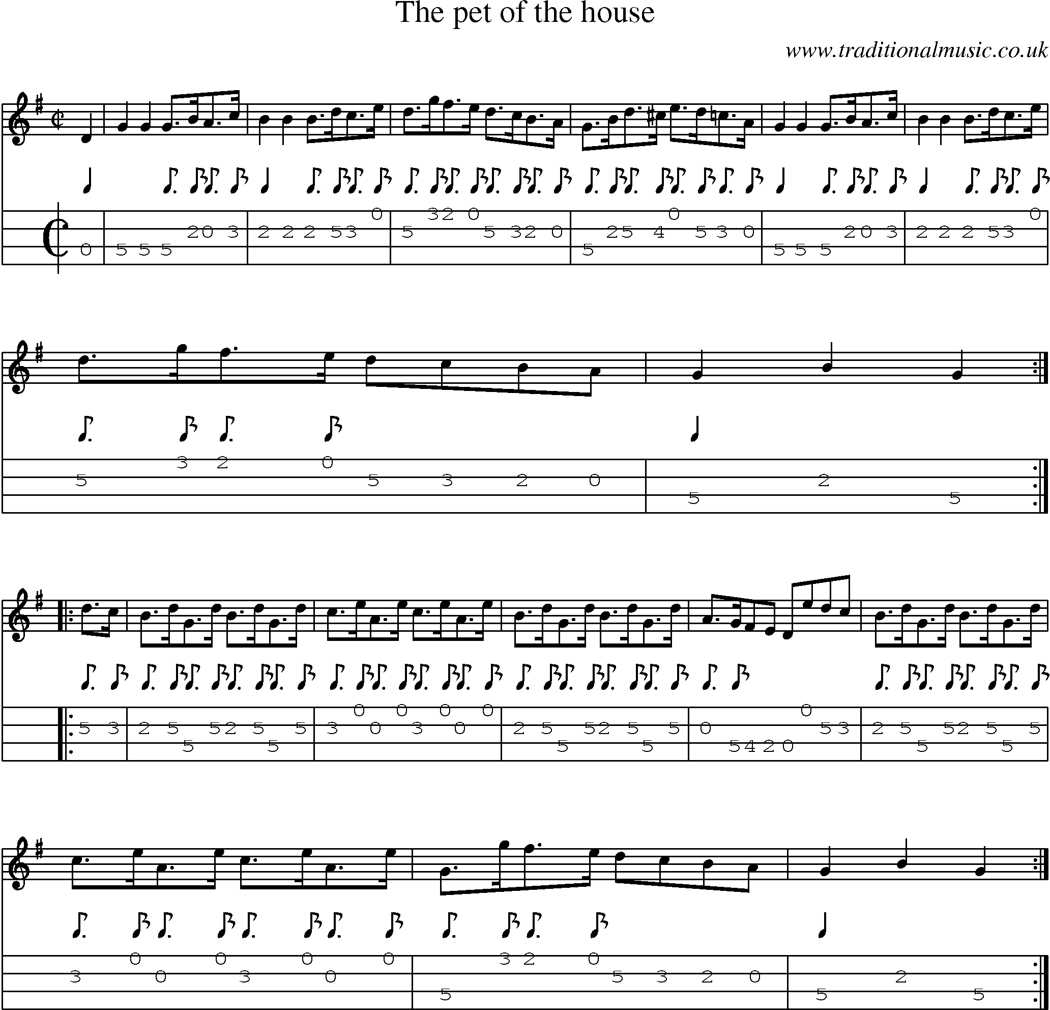 Music Score and Mandolin Tabs for Pet Of The House
