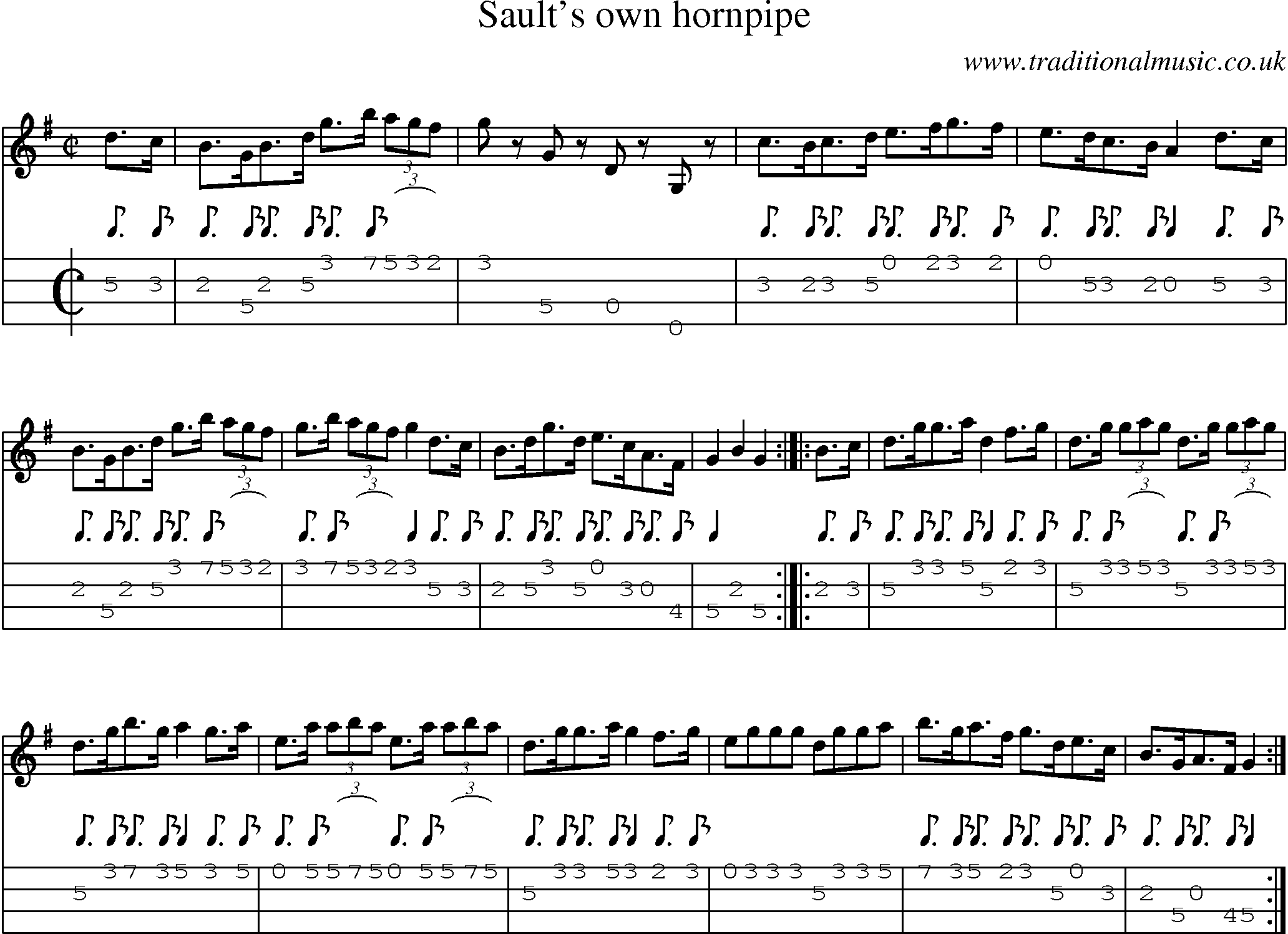 Music Score and Mandolin Tabs for Saults Own Hornpipe