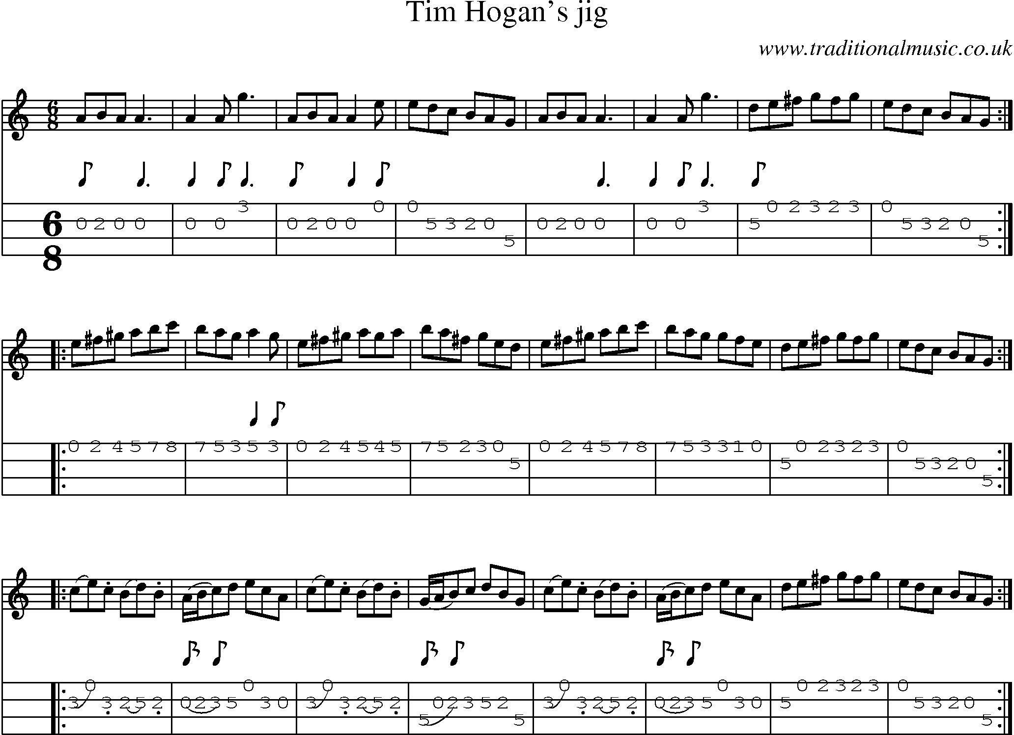 Music Score and Mandolin Tabs for Tim Hogans Jig