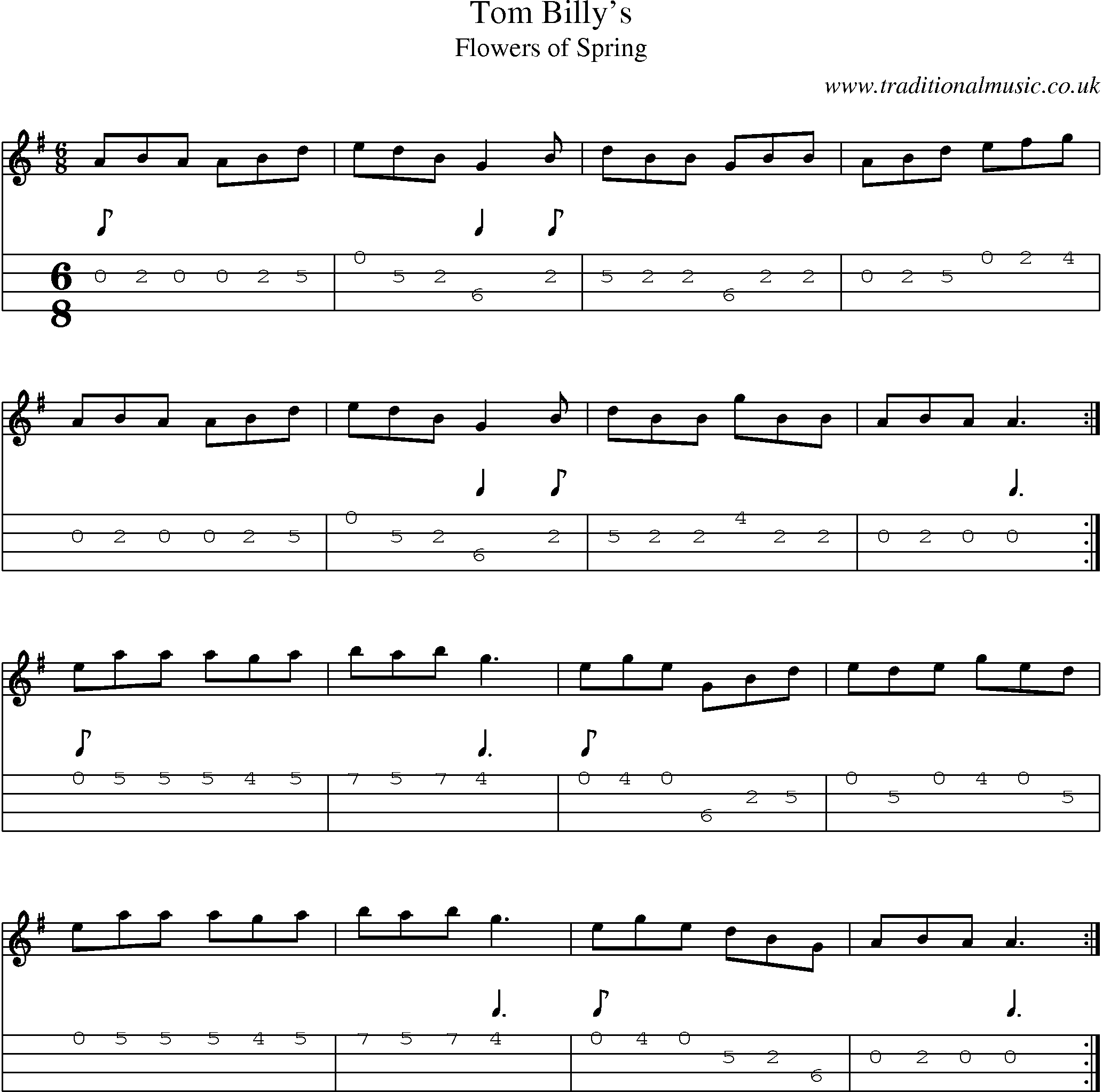 Music Score and Mandolin Tabs for Tom Billys