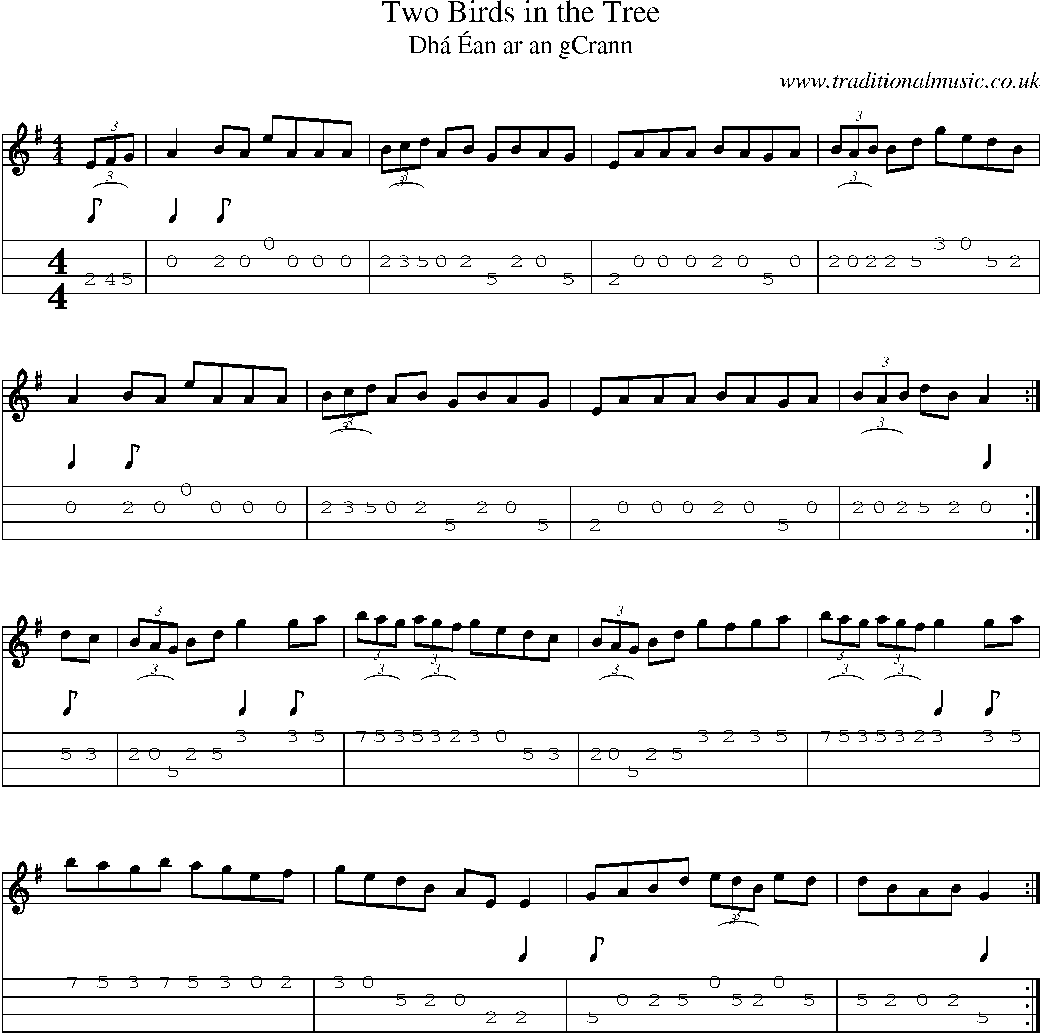 Music Score and Mandolin Tabs for Two Birds In Tree