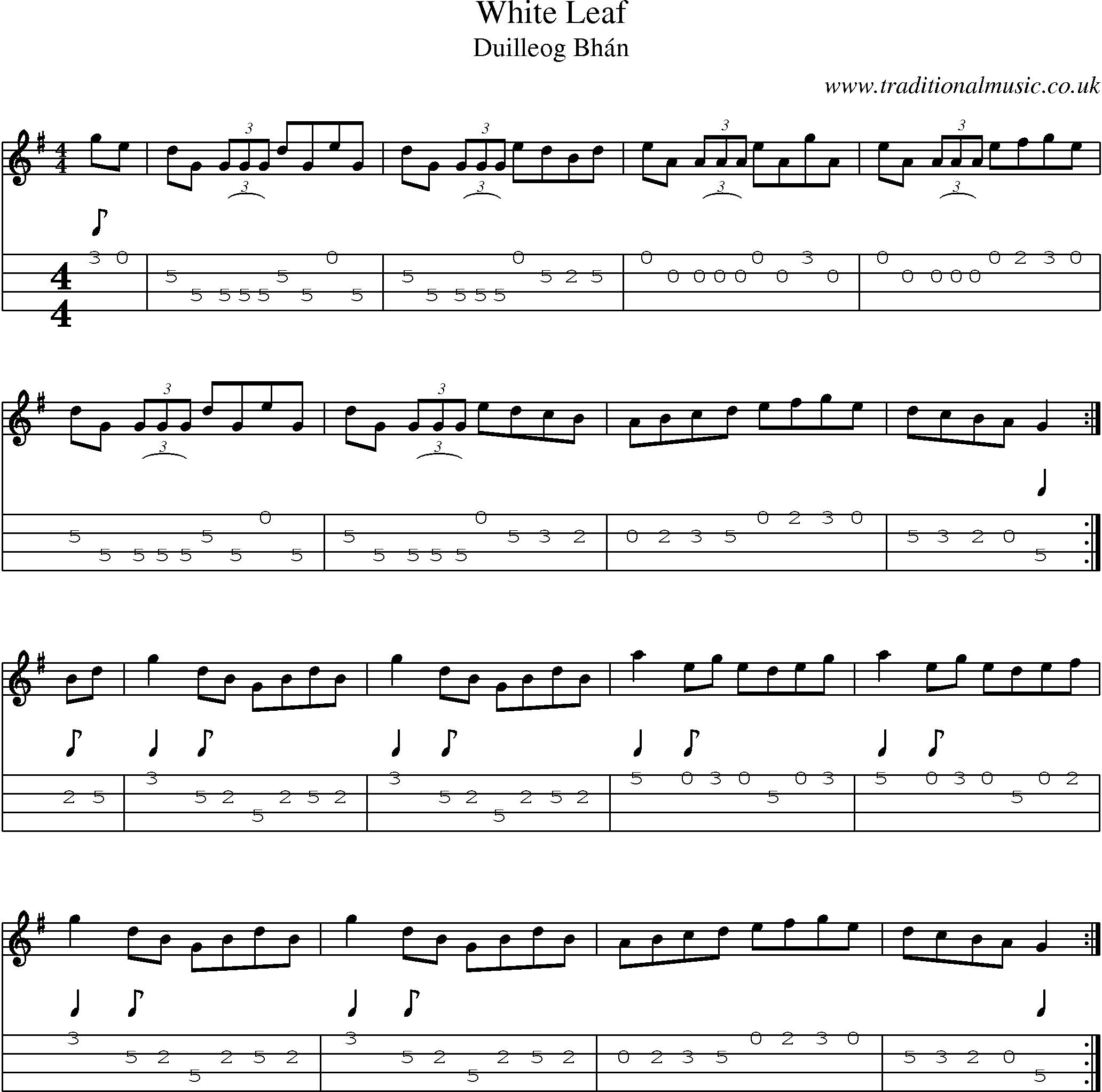 Music Score and Mandolin Tabs for White Leaf