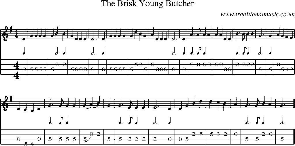 Mandolin Tab and Sheet Music for The Brisk Young Butcher