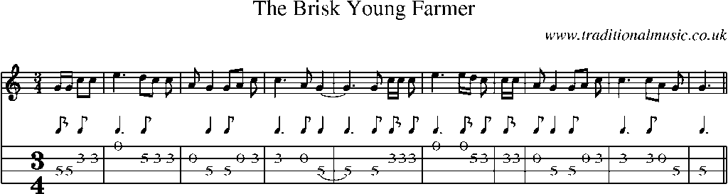 Mandolin Tab and Sheet Music for The Brisk Young Farmer