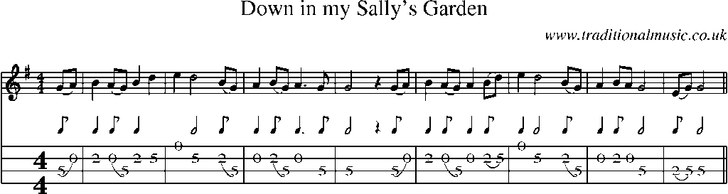 Mandolin Tab and Sheet Music for Down In My Sally's Garden