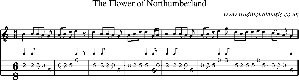 Mandolin Tab and Sheet Music for The Flower Of Northumberland(1)
