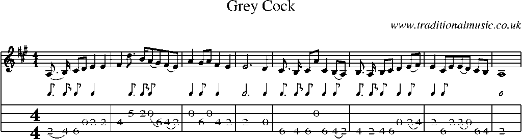 Mandolin Tab and Sheet Music for Grey Cock