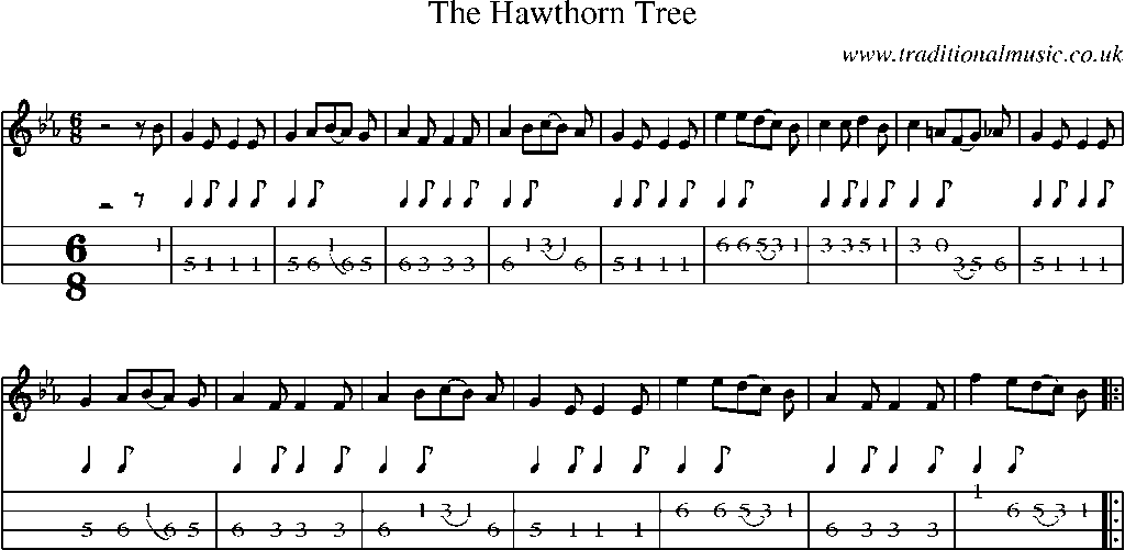 Mandolin Tab and Sheet Music for The Hawthorn Tree