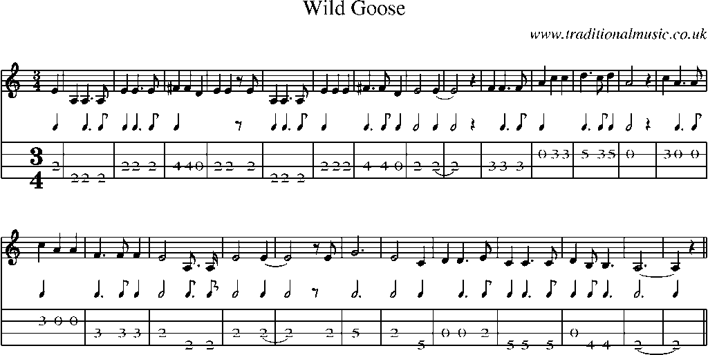 Mandolin Tab and Sheet Music for Wild Goose
