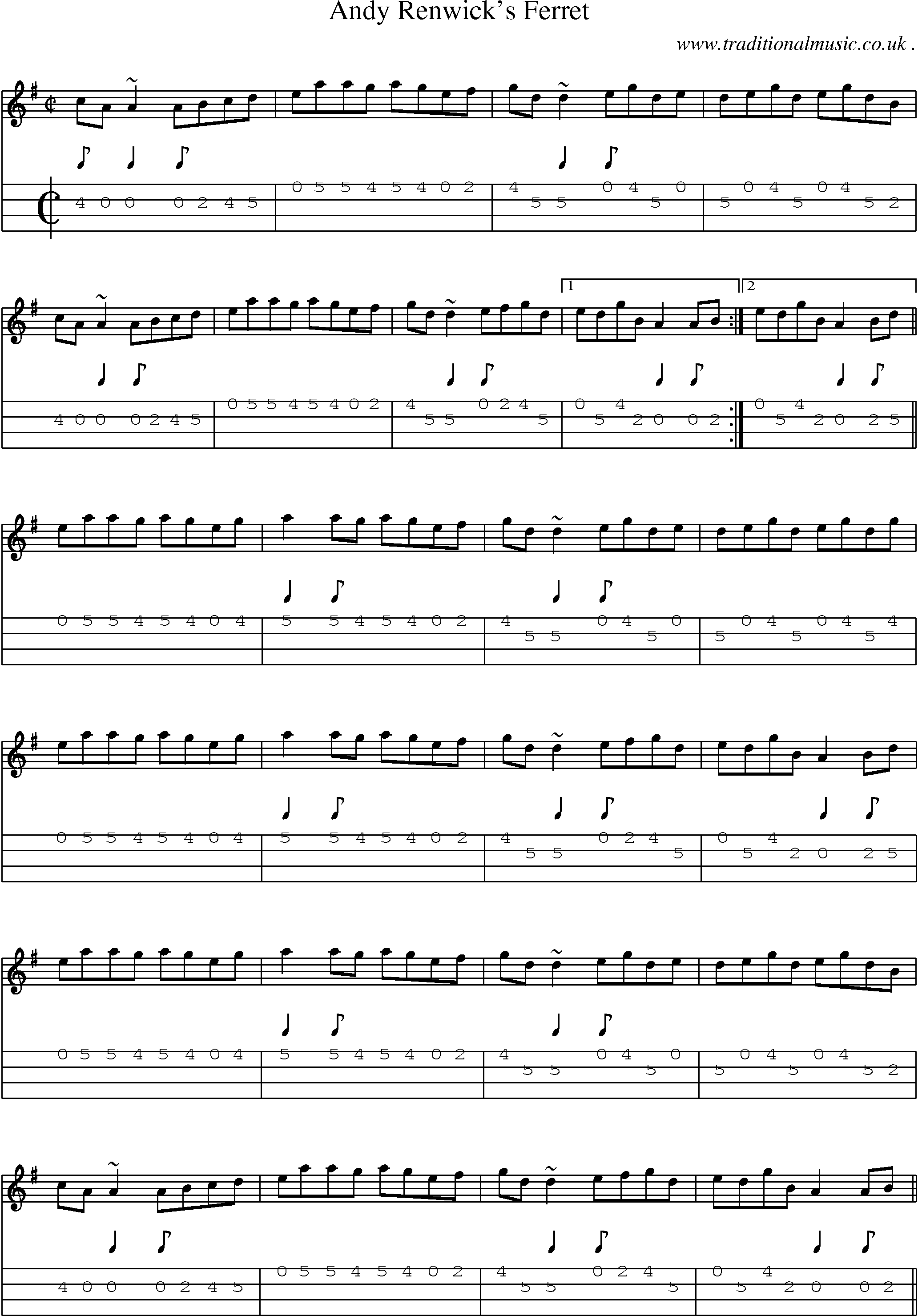 Sheet-music  score, Chords and Mandolin Tabs for Andy Renwicks Ferret