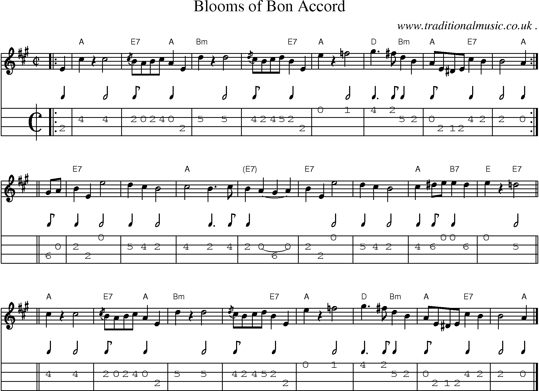 Sheet-music  score, Chords and Mandolin Tabs for Blooms Of Bon Accord
